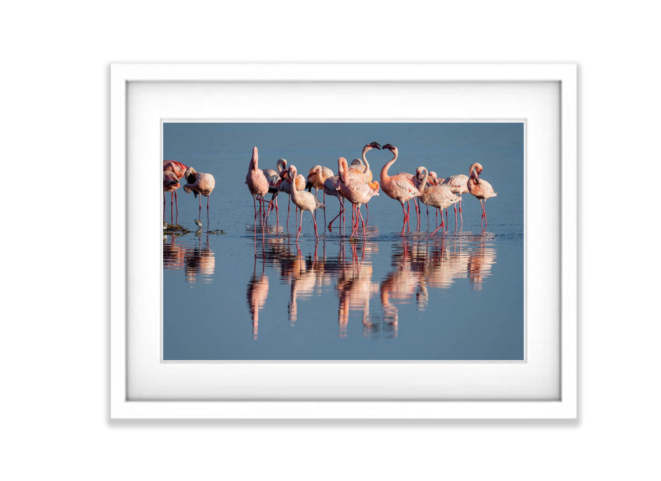 Flamingoes Talking, Ndutu Lake, Tanzania