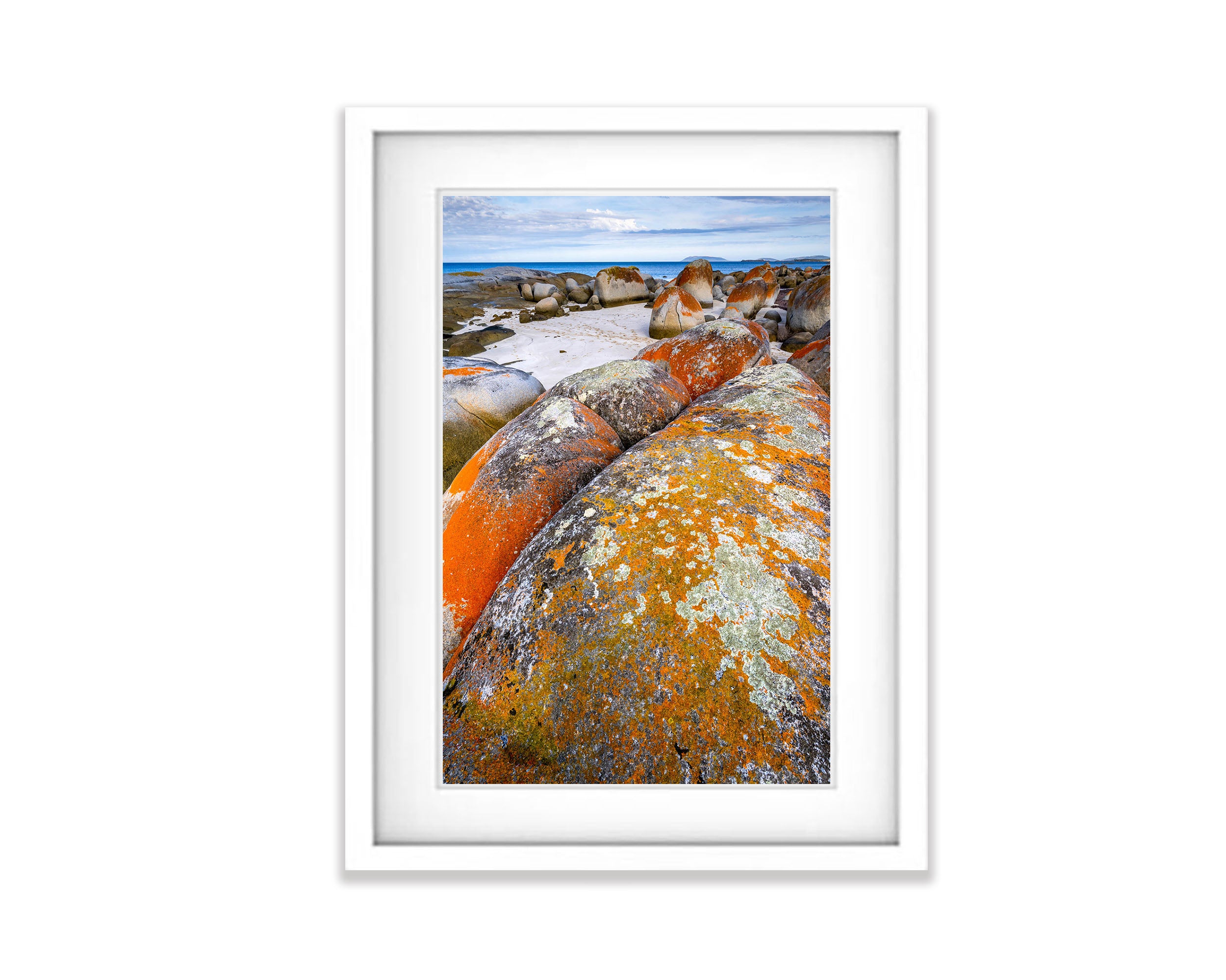 Rock Lichen, Flinders Island, Tasmania