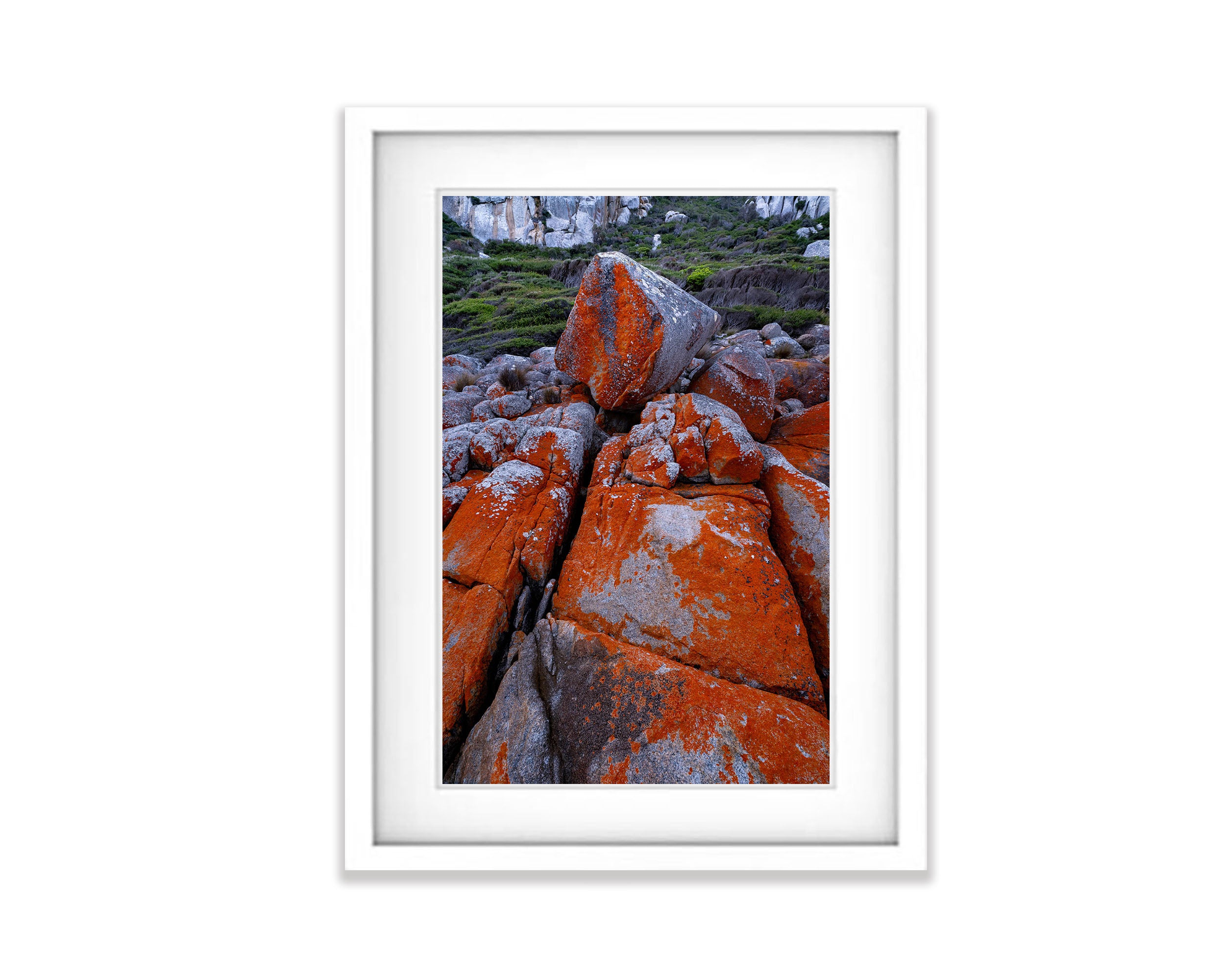 Red Lichen Rocks No.5, Flinders Island, Tasmania