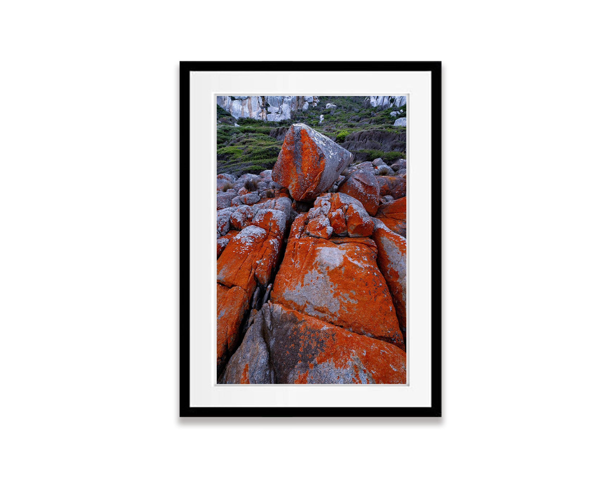 Red Lichen Rocks No.5, Flinders Island, Tasmania