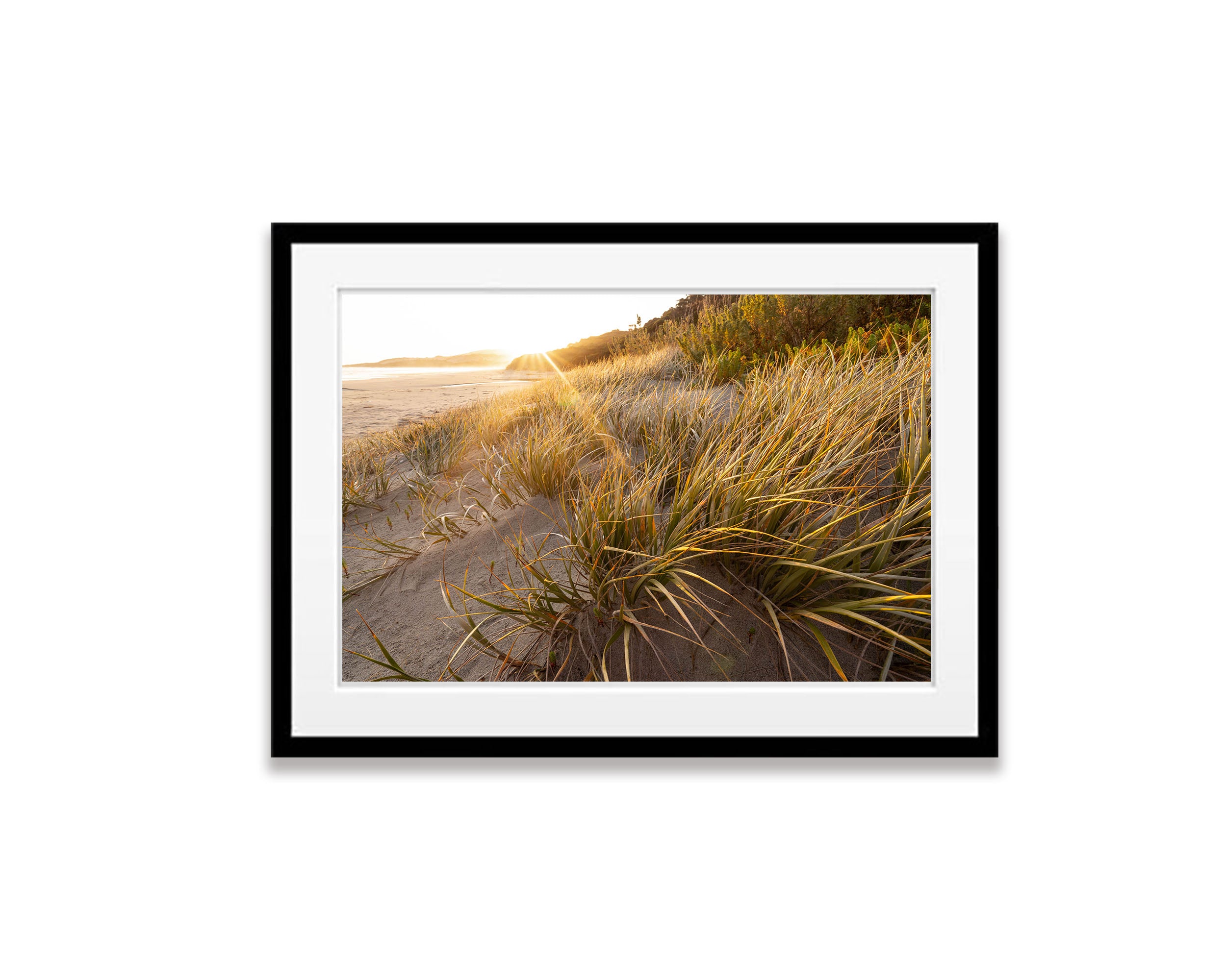 Coastal Vegetation, Flinders Island, Tasmania