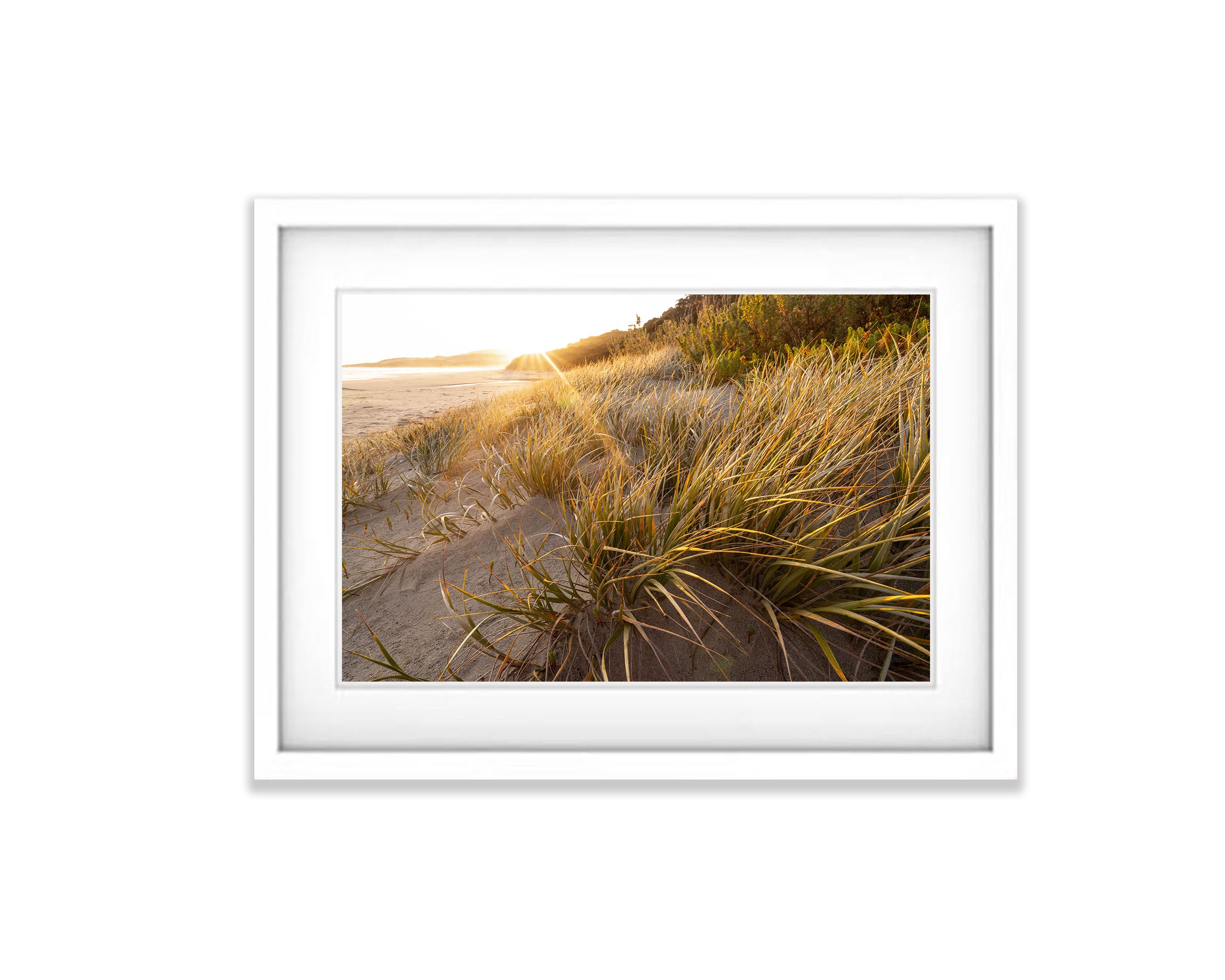 Coastal Vegetation, Flinders Island, Tasmania