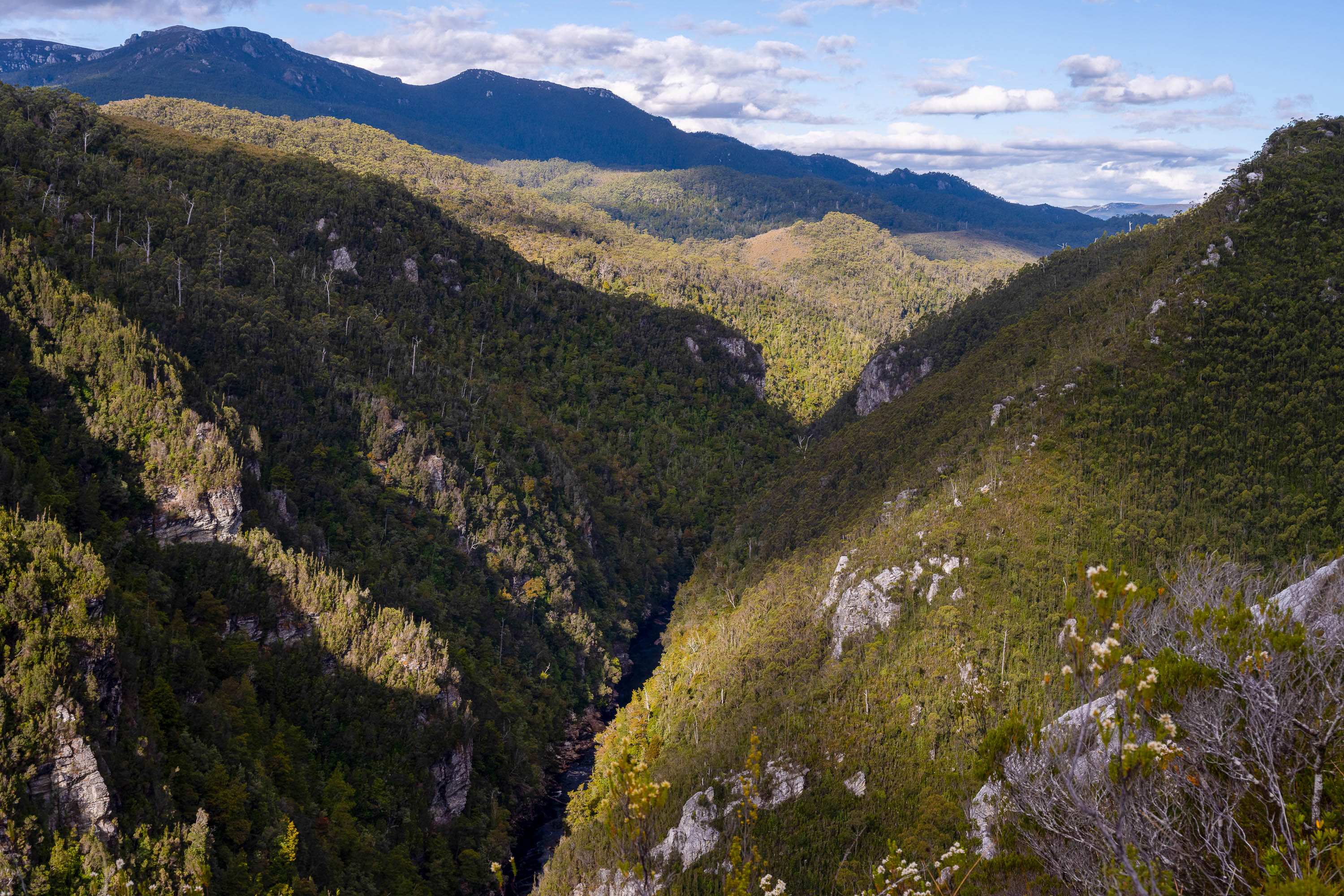 Looking down on the The Franklin River No.17, Tasmania