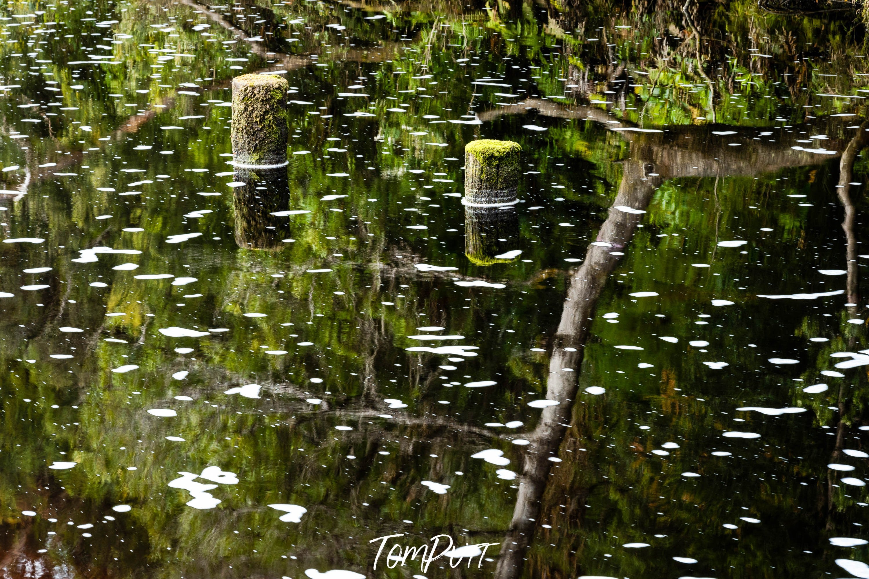 The Franklin River at Sir John Falls Landing, Tasmania