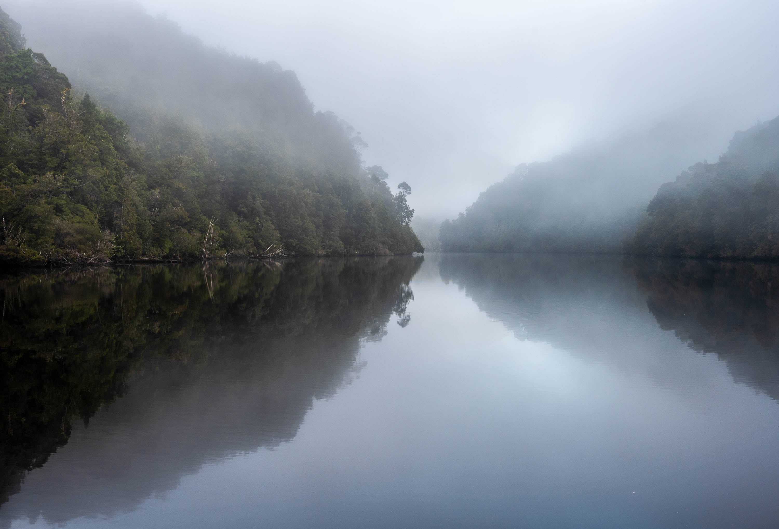 The Gordon River #2, Tasmania