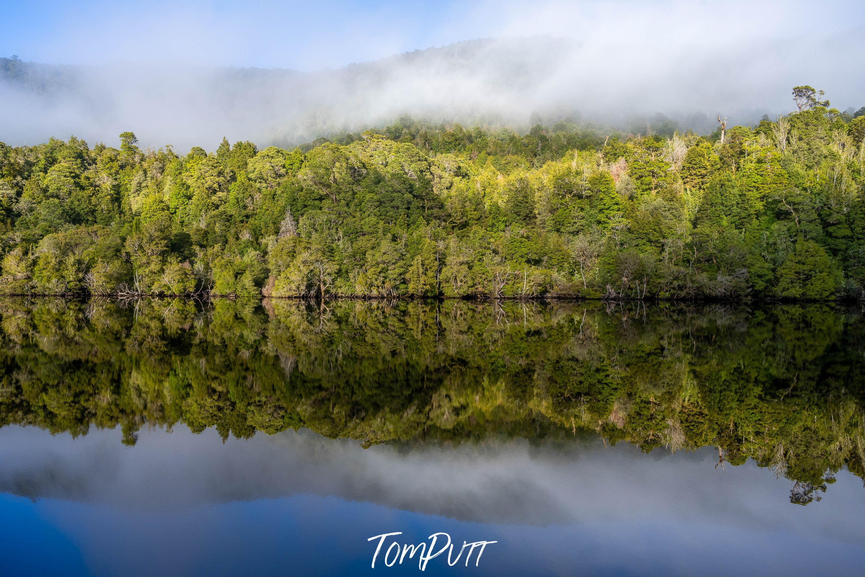 Serene Stillness, Gordon River, Tasmania