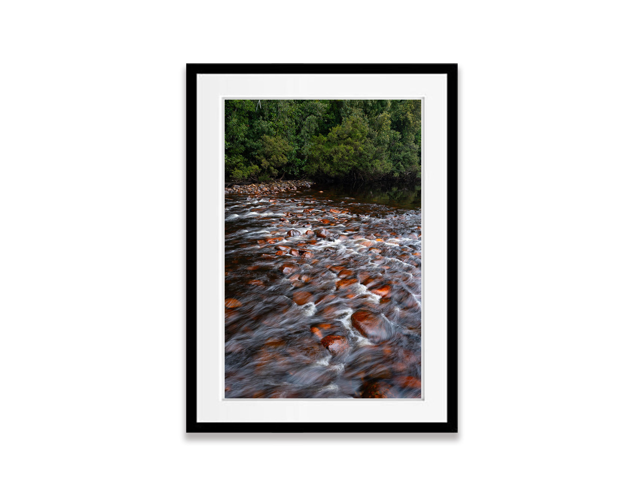 The Lower Franklin River, Tasmania