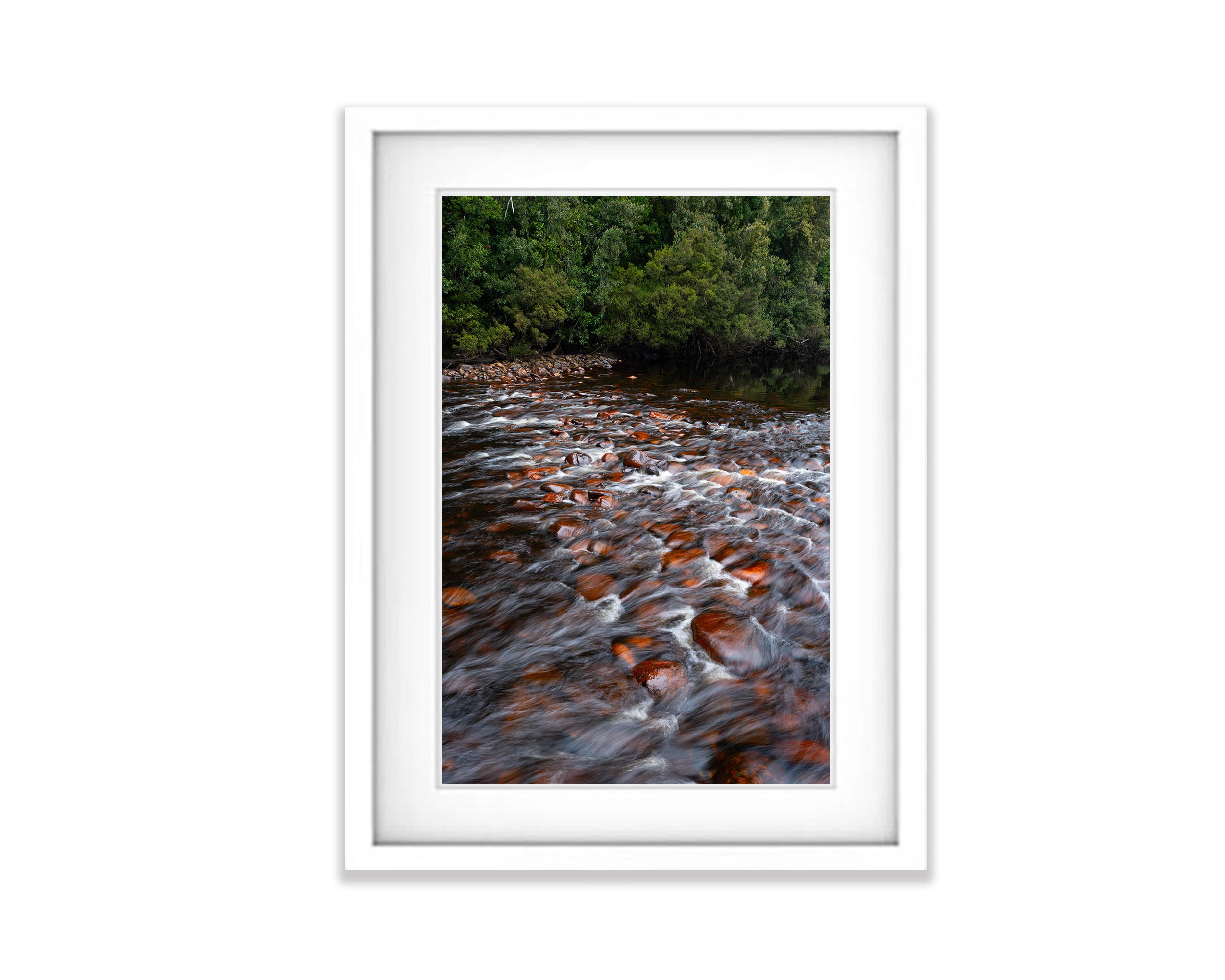 The Lower Franklin River, Tasmania