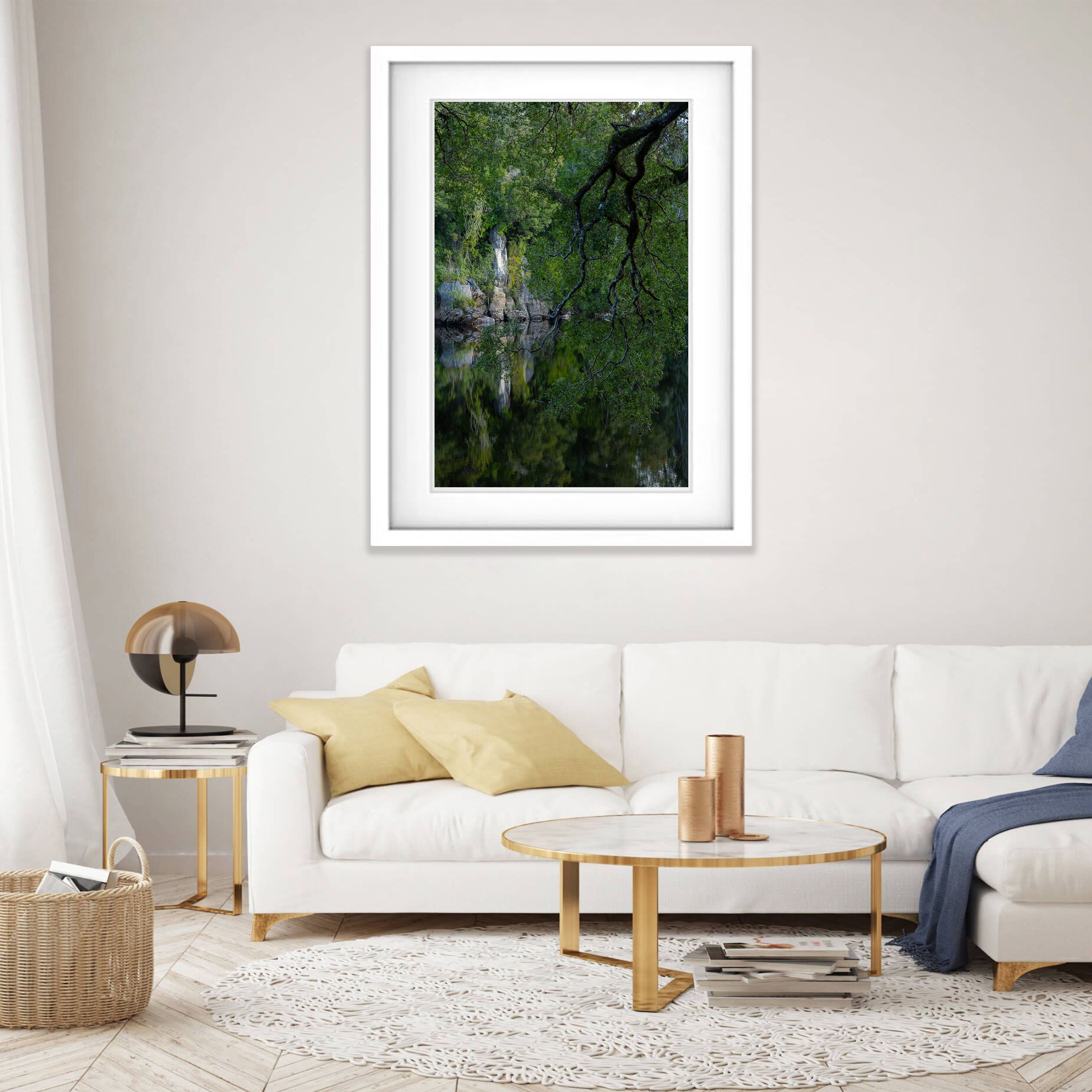 Hanging Tree, Lower Franklin River, Tasmania