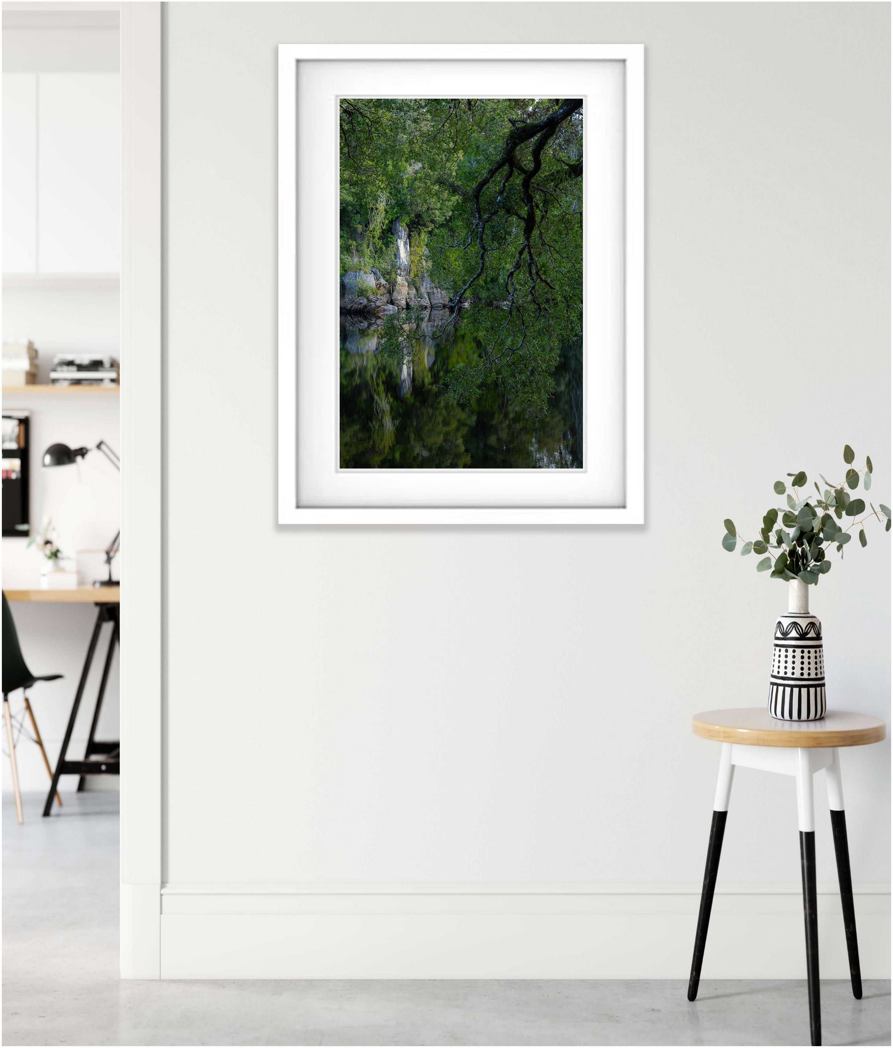 Hanging Tree, Lower Franklin River, Tasmania