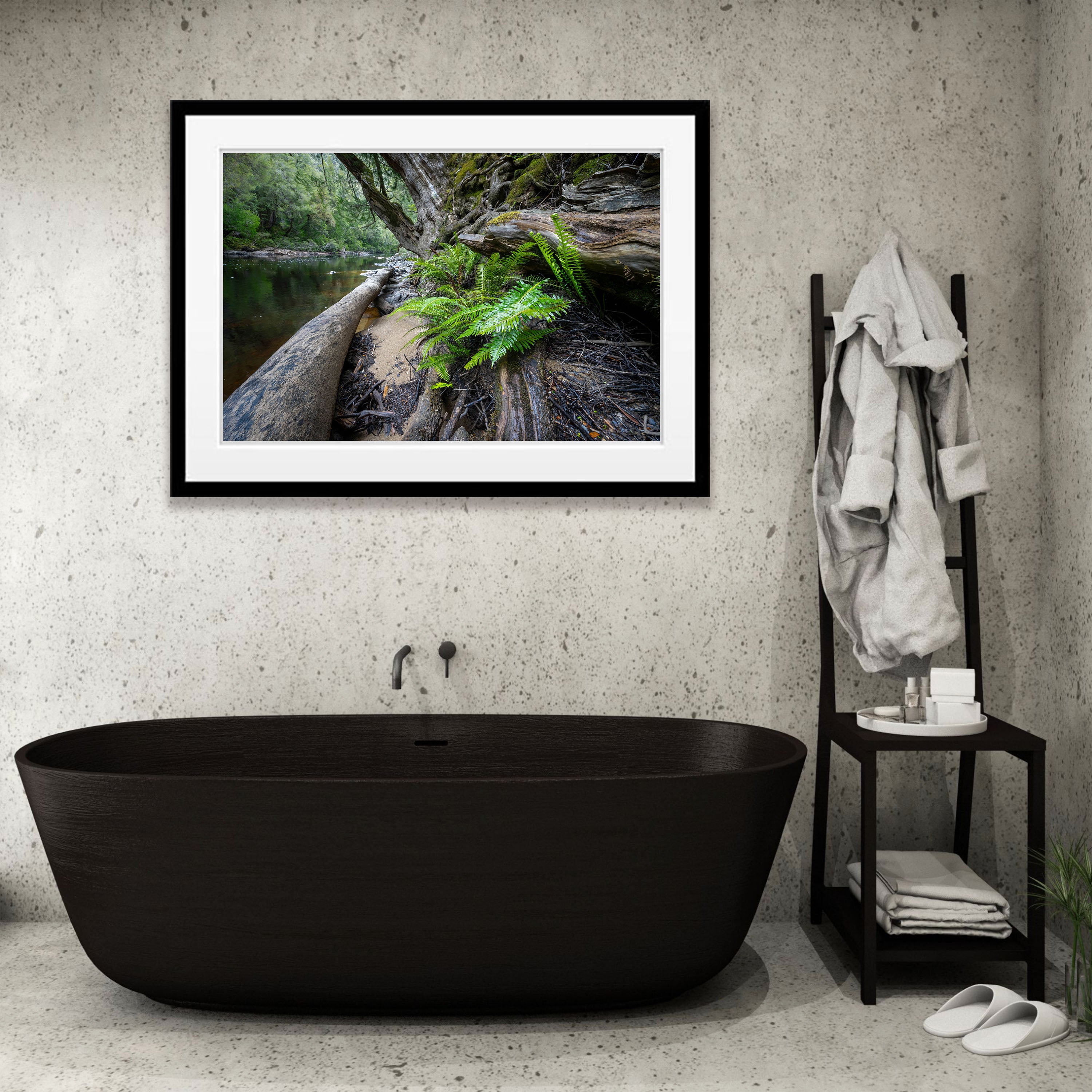 Ferns, Franklin River, Tasmania