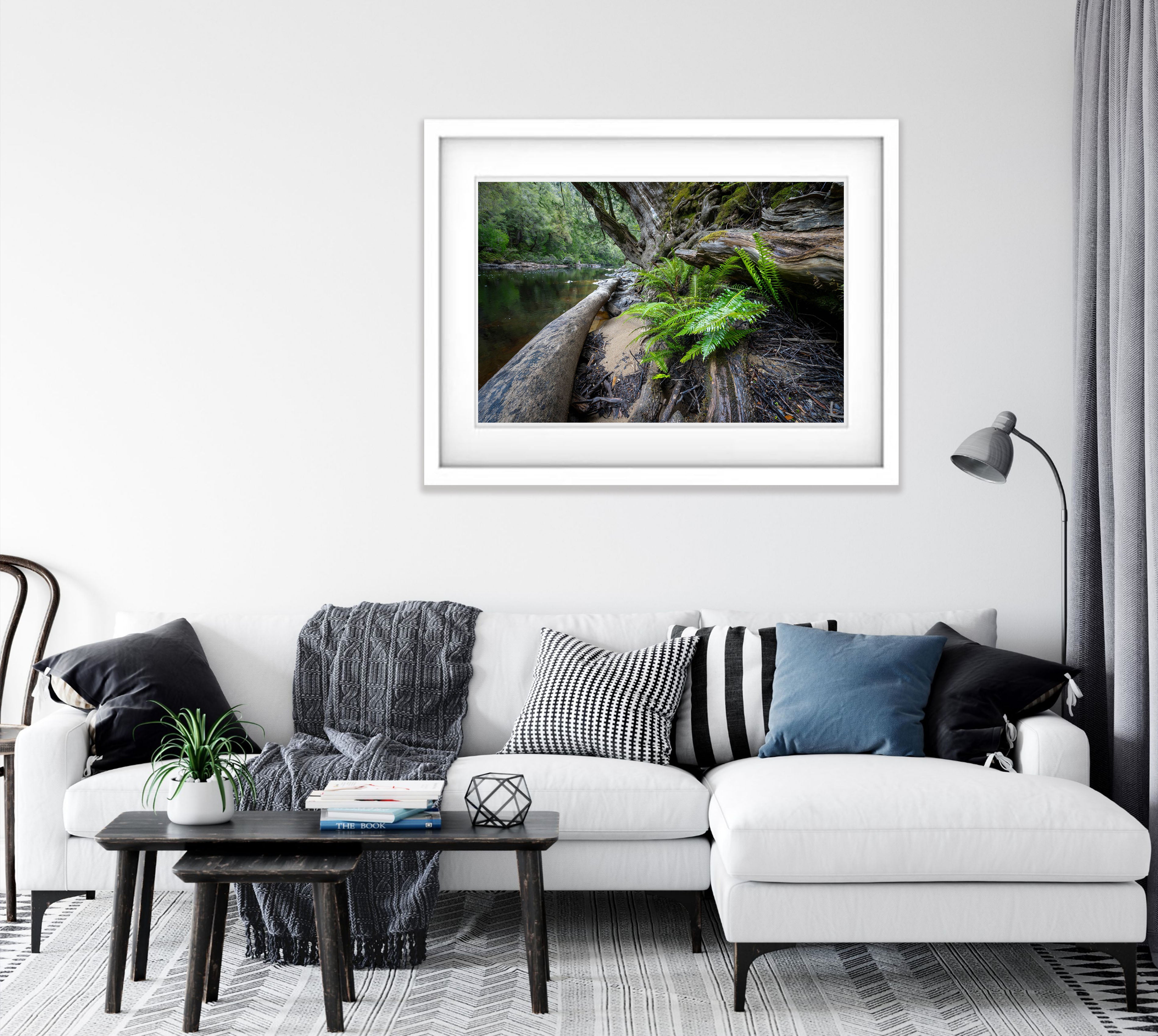 Ferns, Franklin River, Tasmania