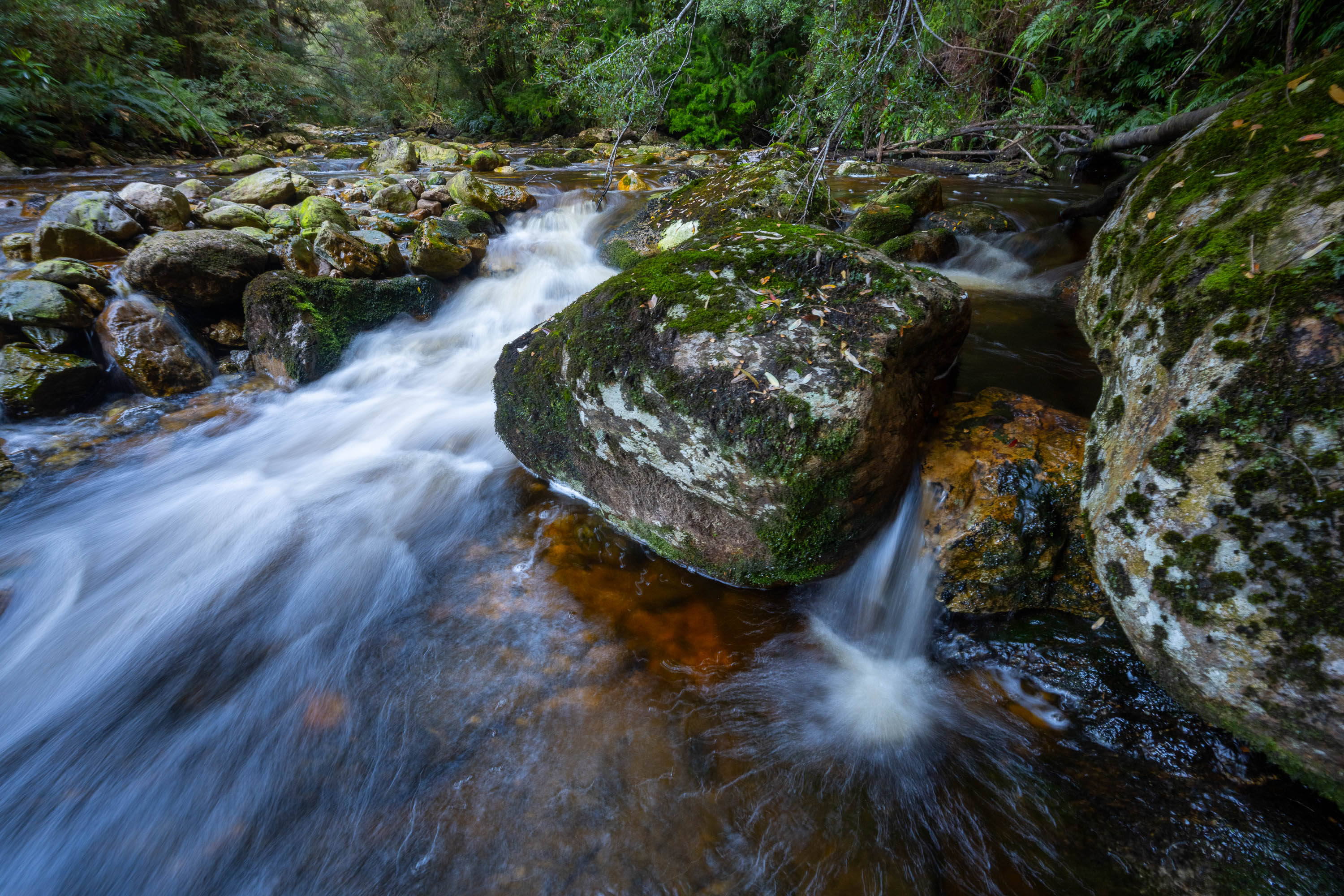 Interlude Creek No.3, The Franklin River, Tasmania