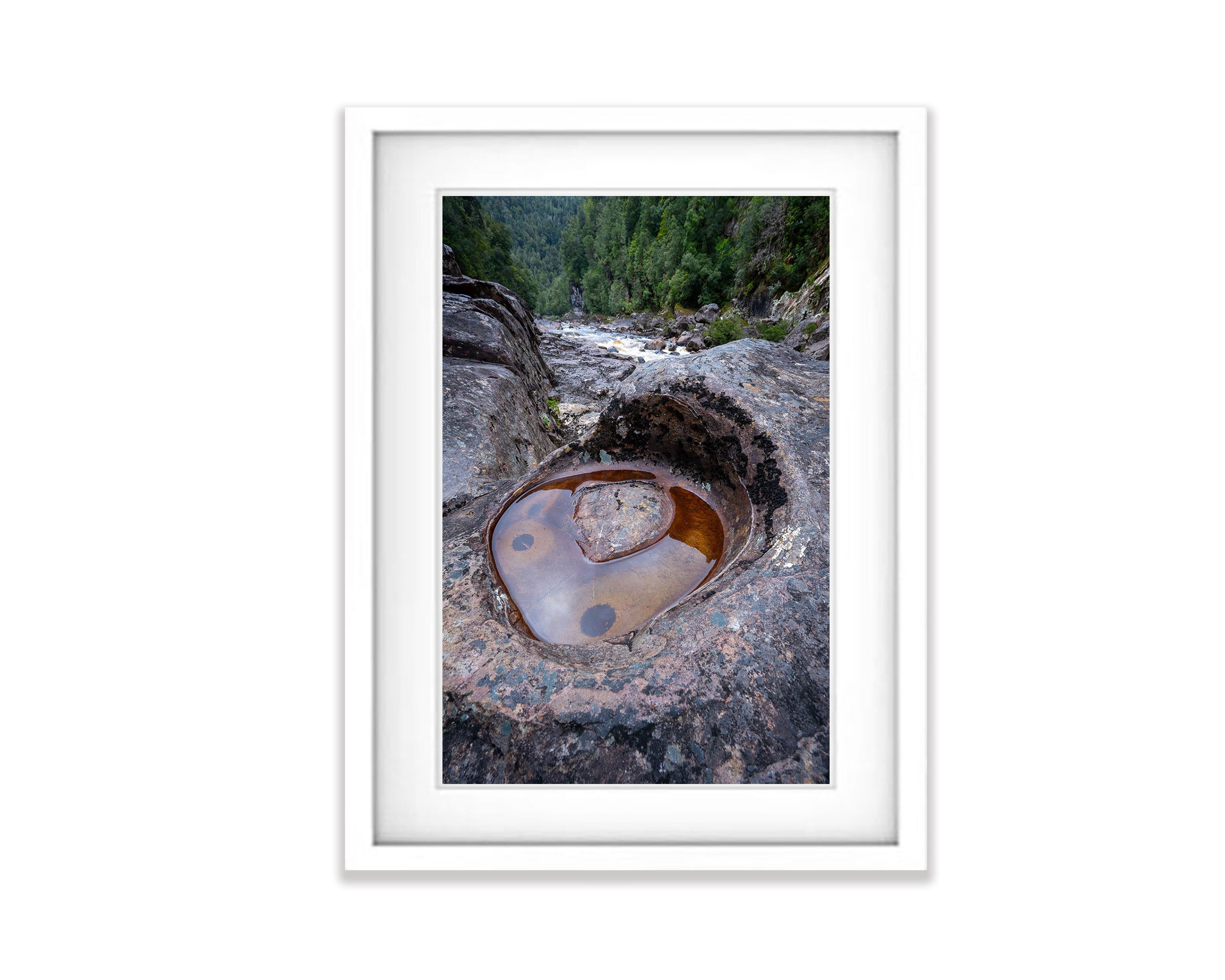 Rock Pool, The Franklin River, Tasmania