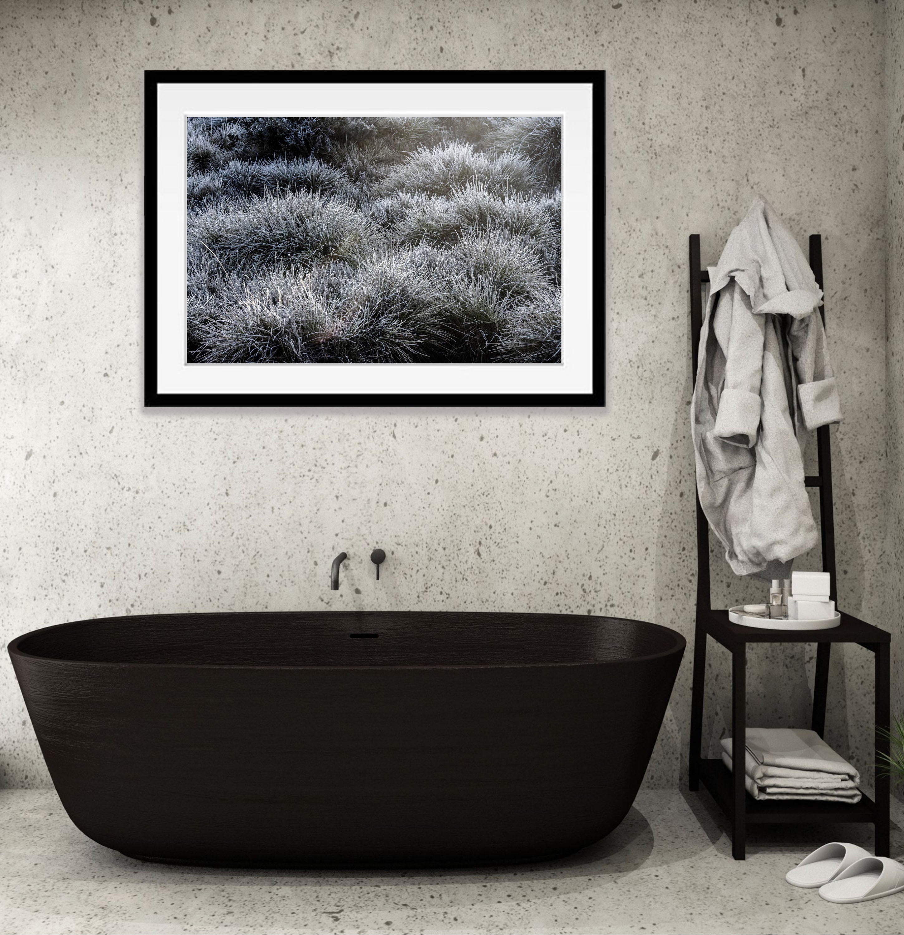 Frosted Buttongrass, Cradle Mountain, Tasmania