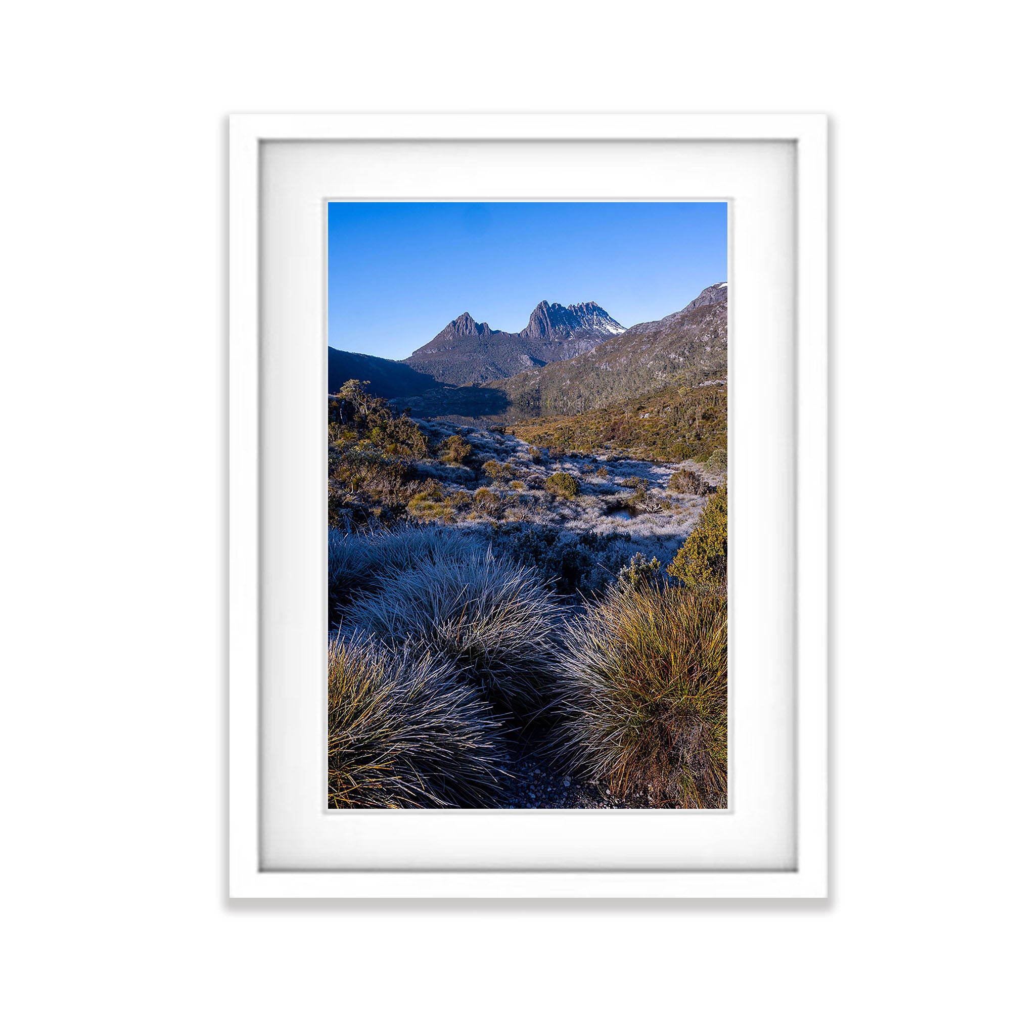 Frosty Morning, Cradle Mountain, Tasmania