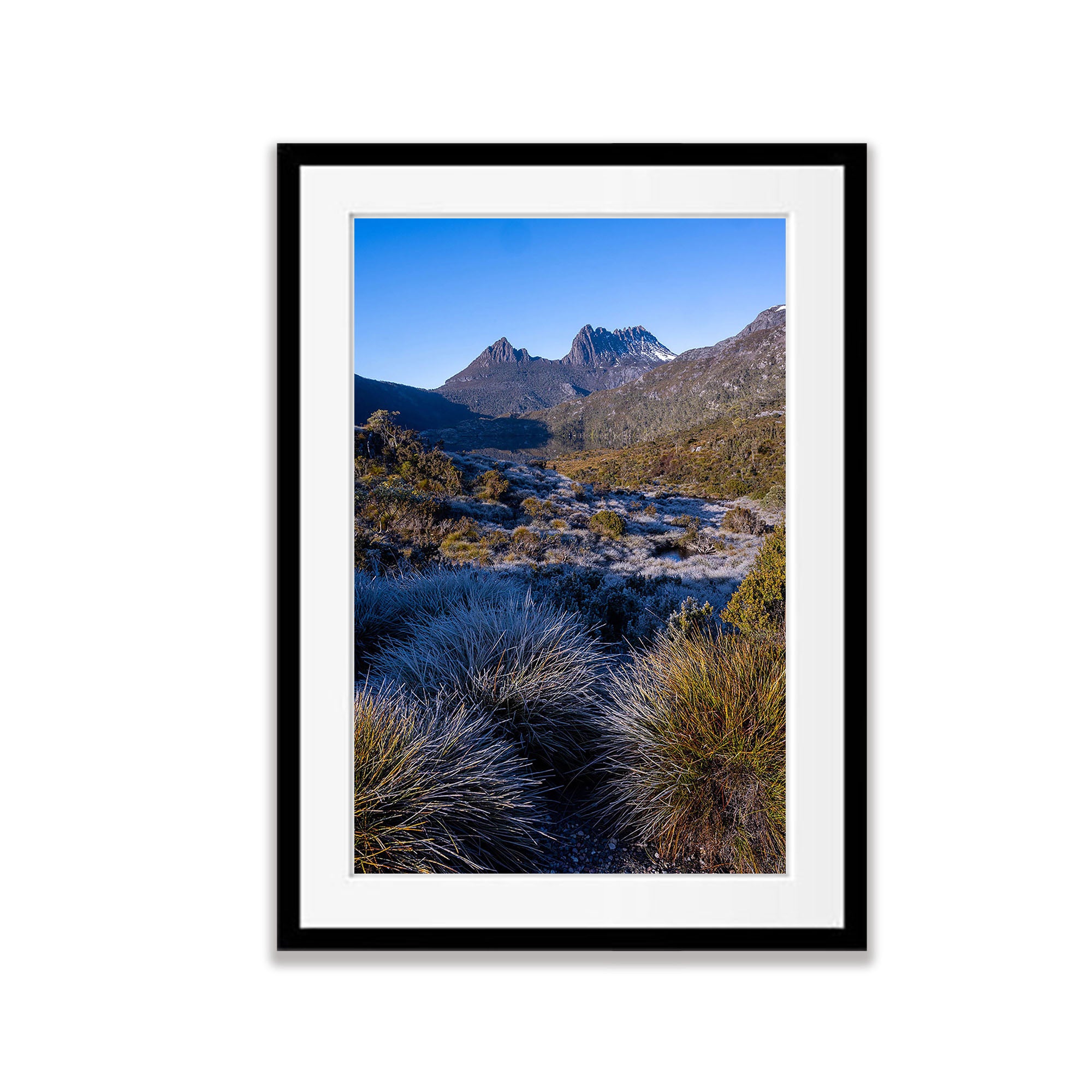 Frosty Morning, Cradle Mountain, Tasmania