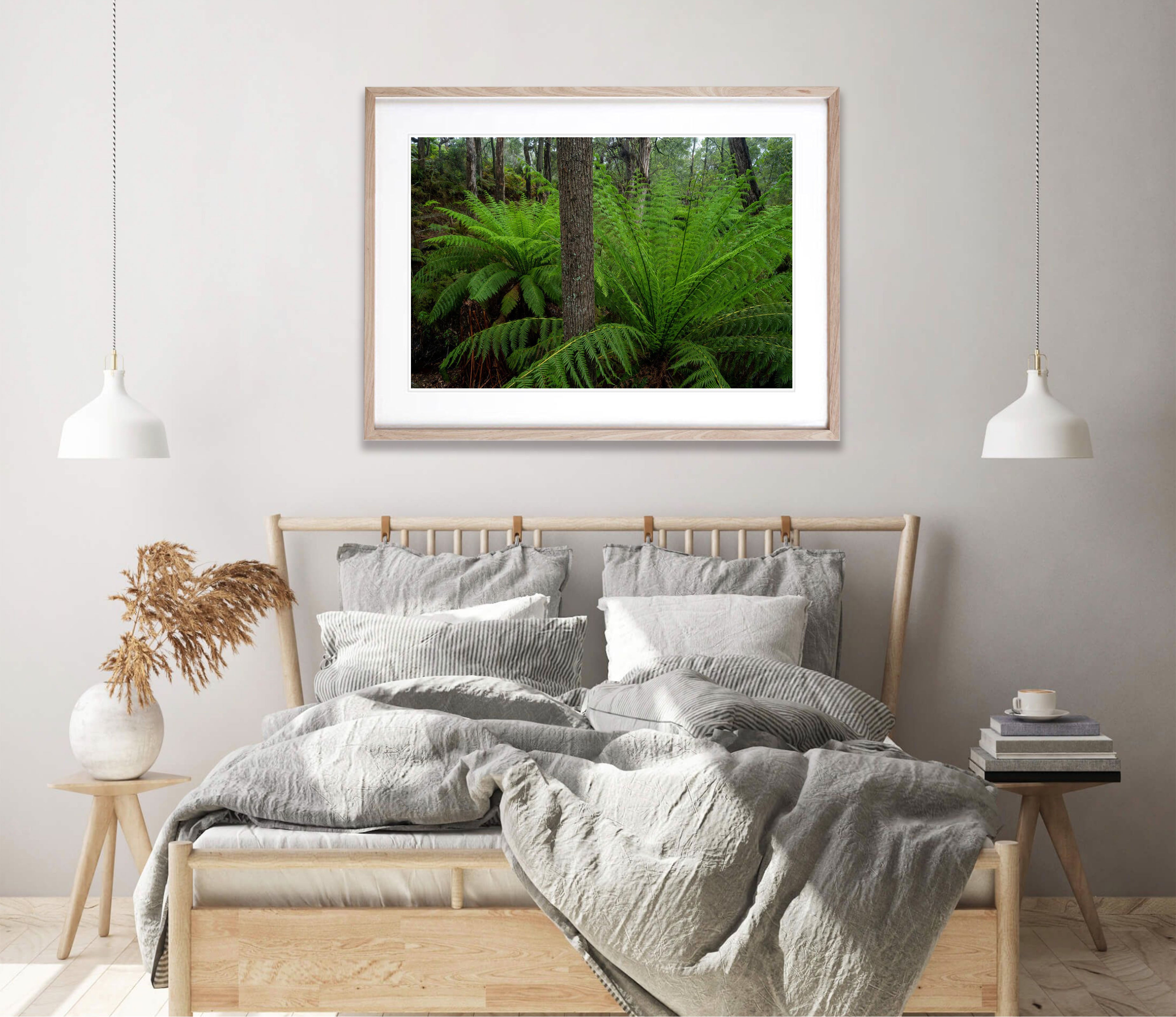 Giant Ferns, Green's Bush, Mornington Peninsula