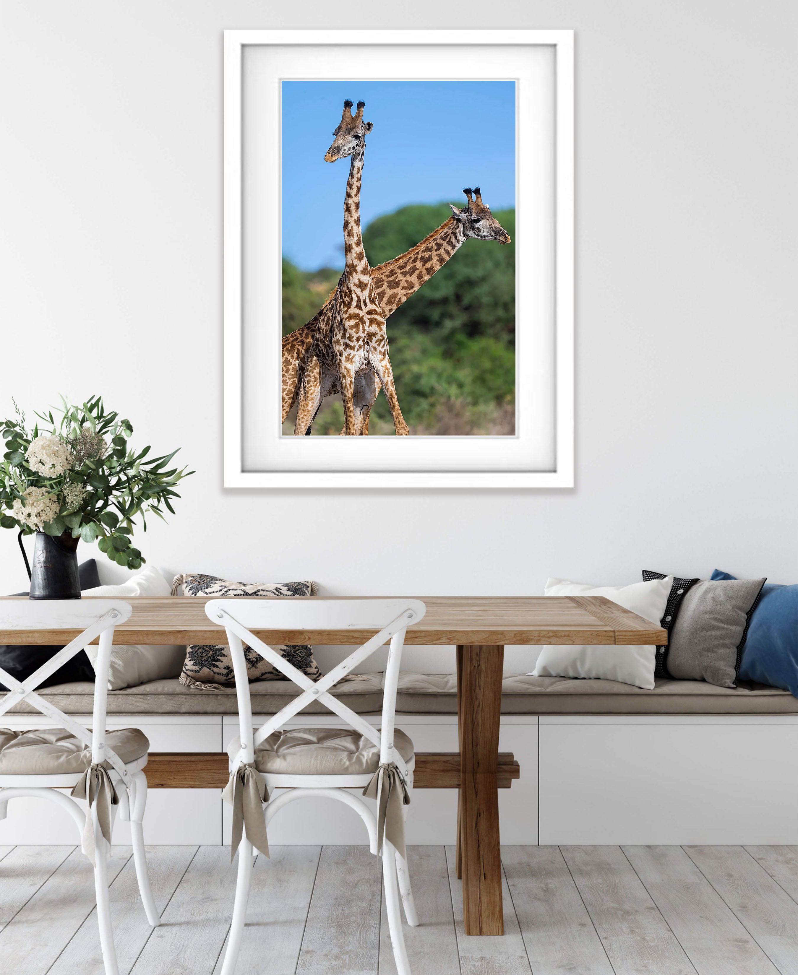 Giraffe, Tanzania