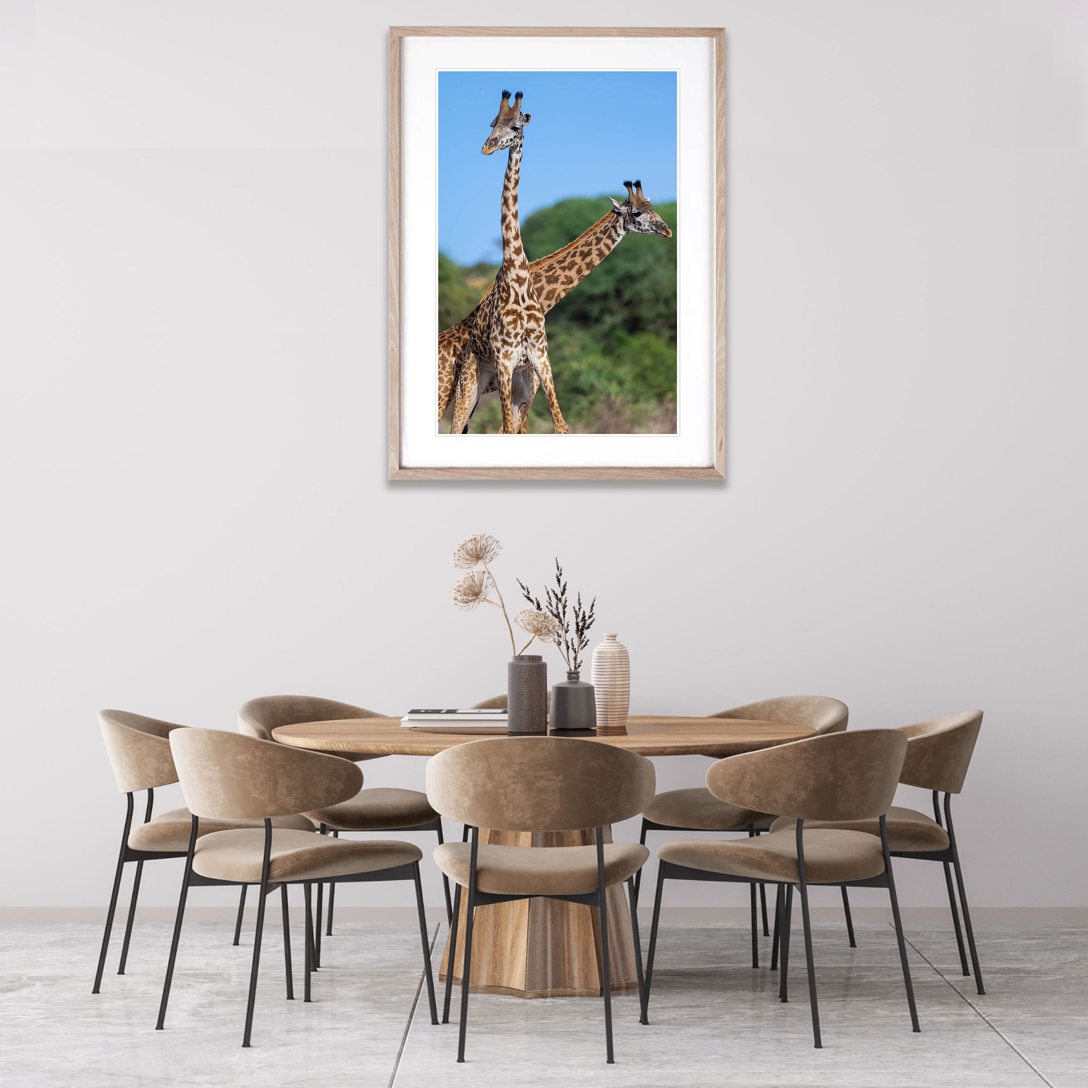 Giraffe, Tanzania