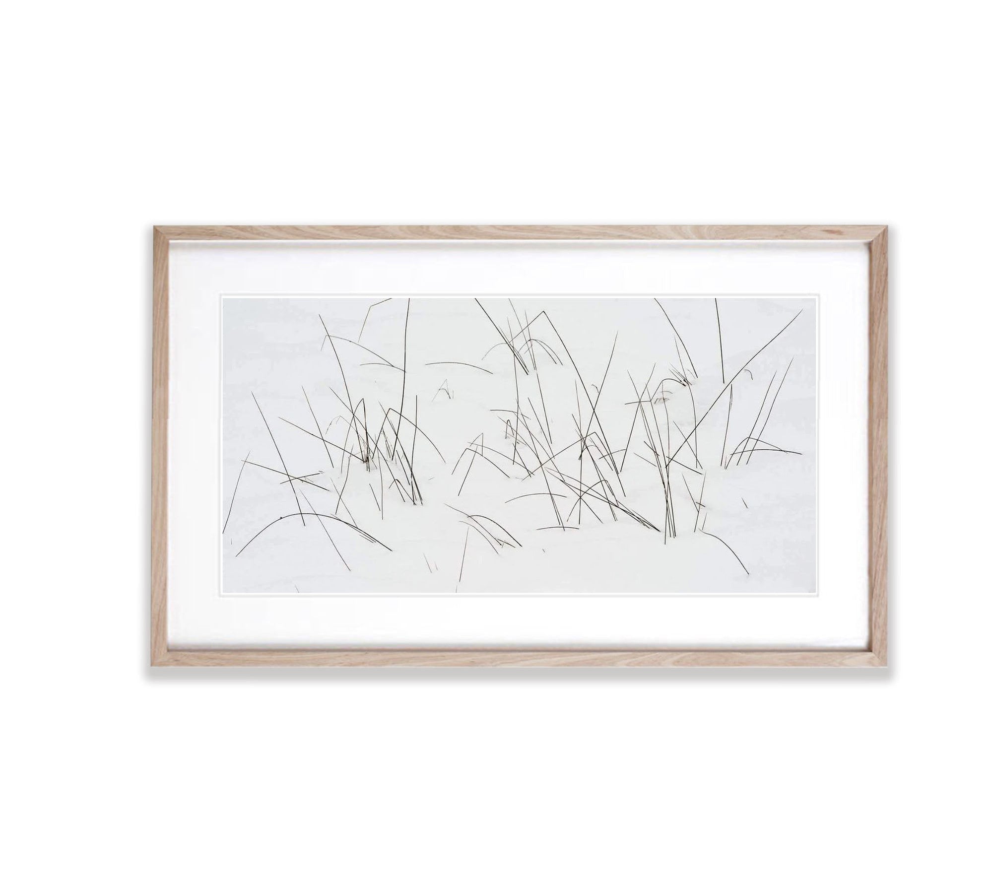 Grass in snow - Victorian High Country