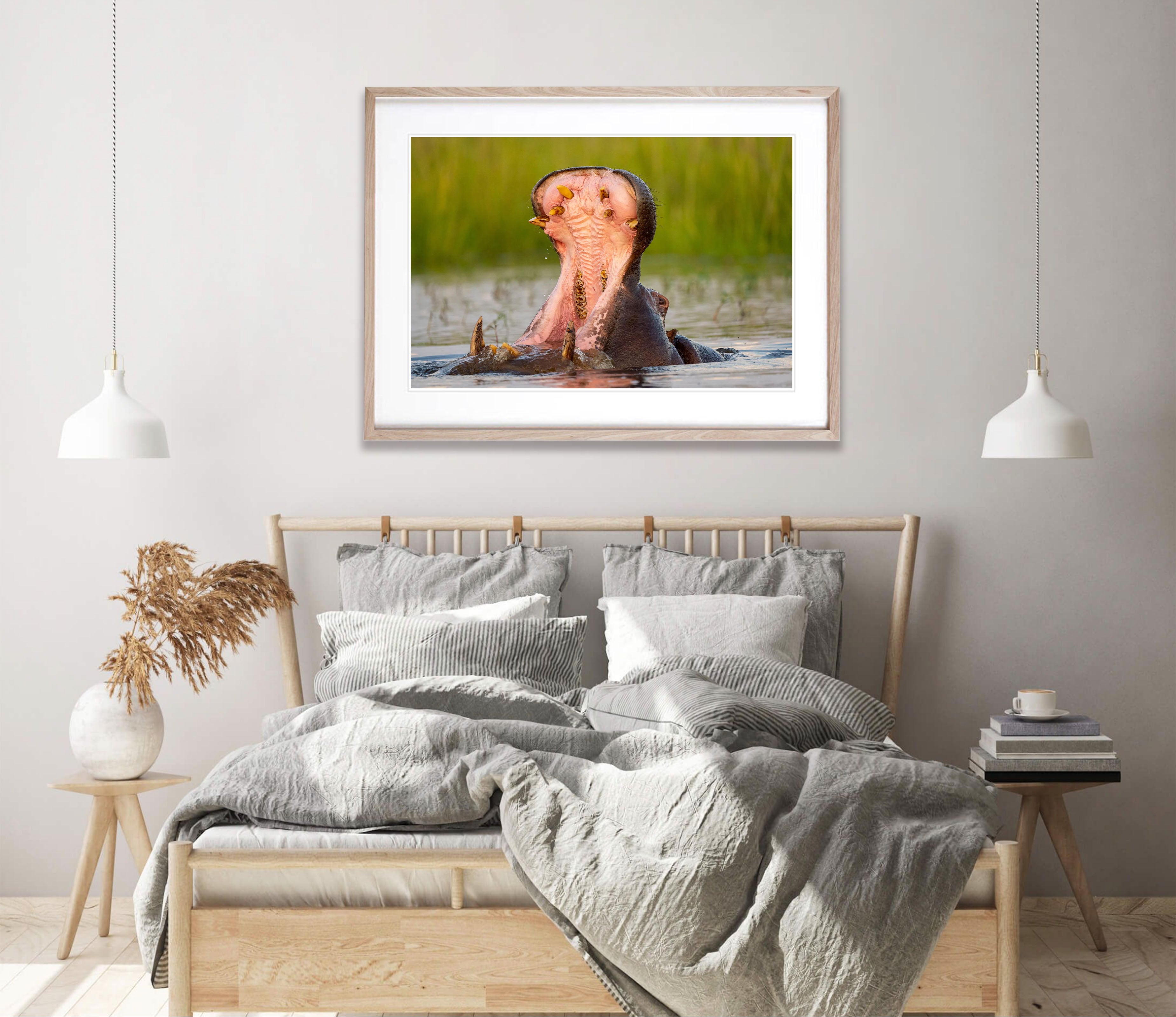 Hippo Yawning, Chobe River, Botswana