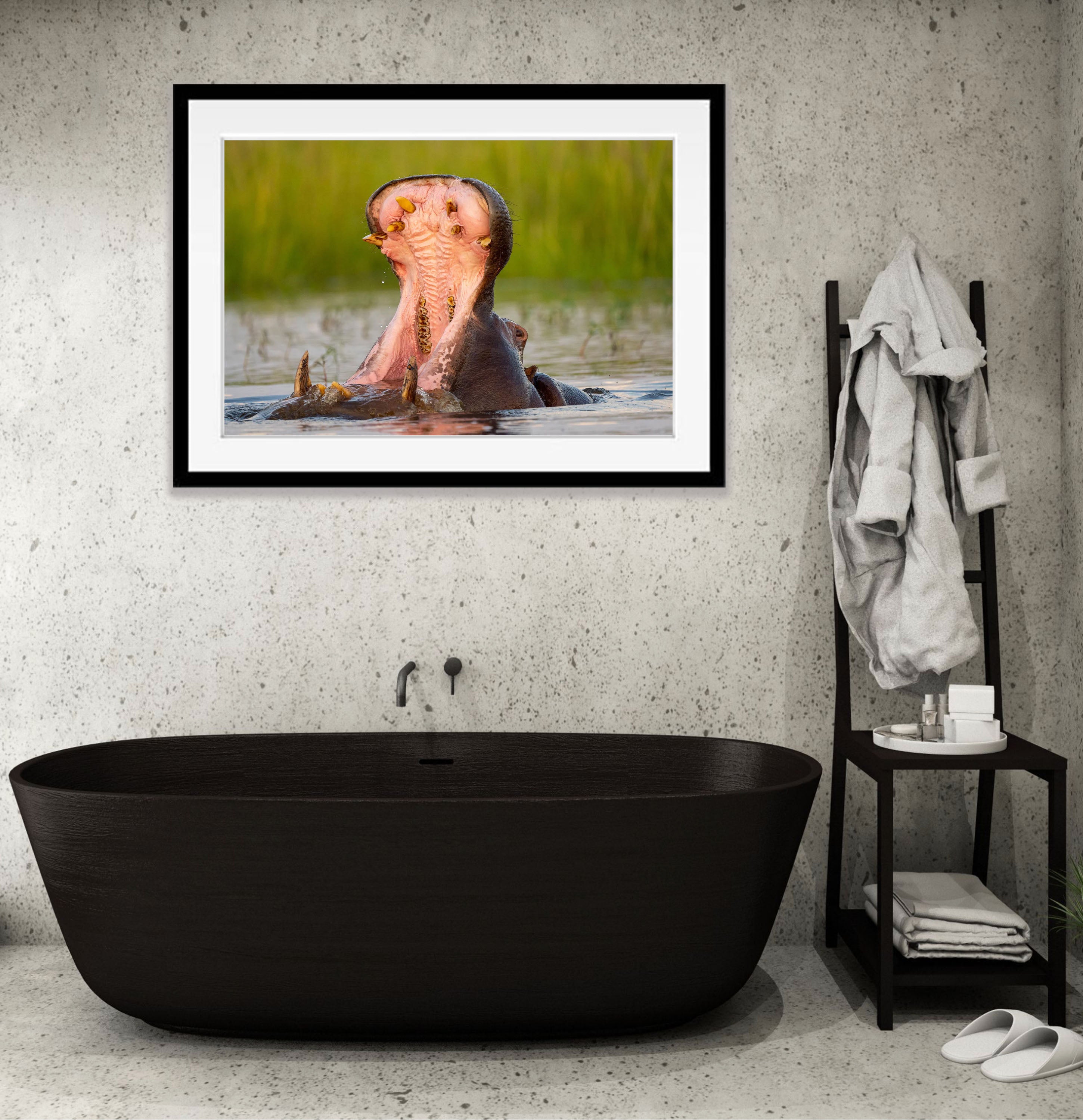 Hippo Yawning, Chobe River, Botswana