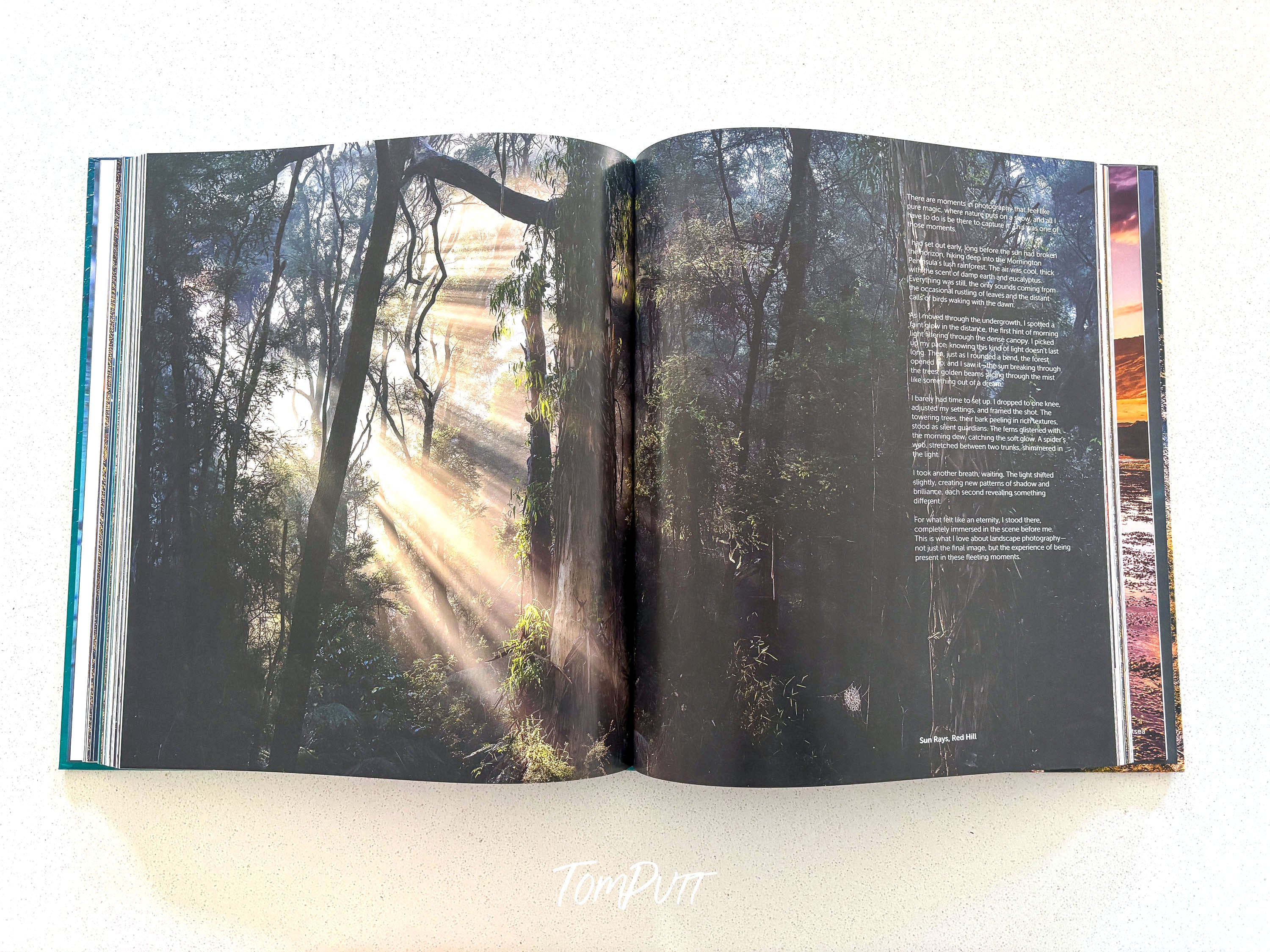 ! Mornington Peninsula Coastal Edition