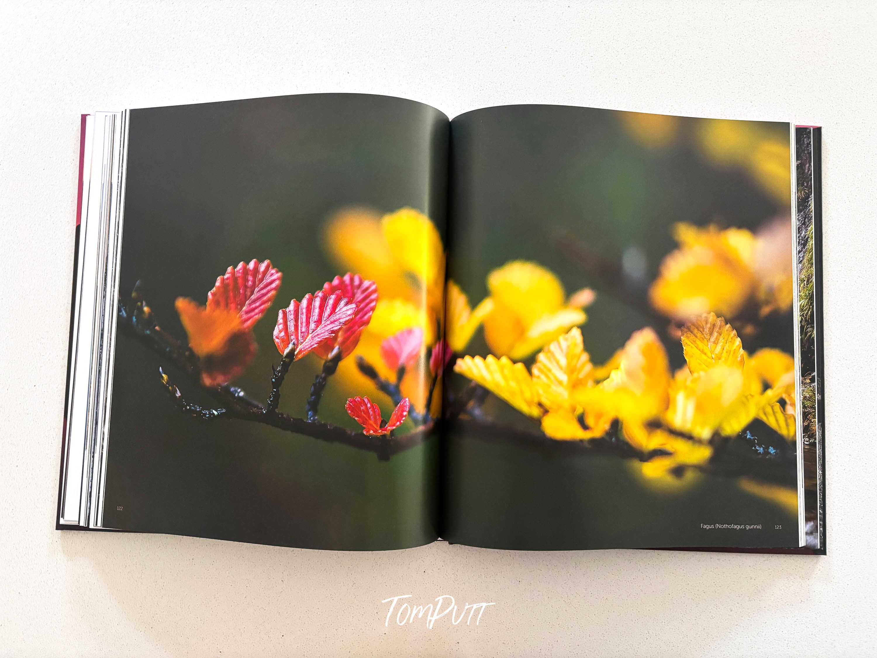 ! Cradle Mountain & The Overland Track