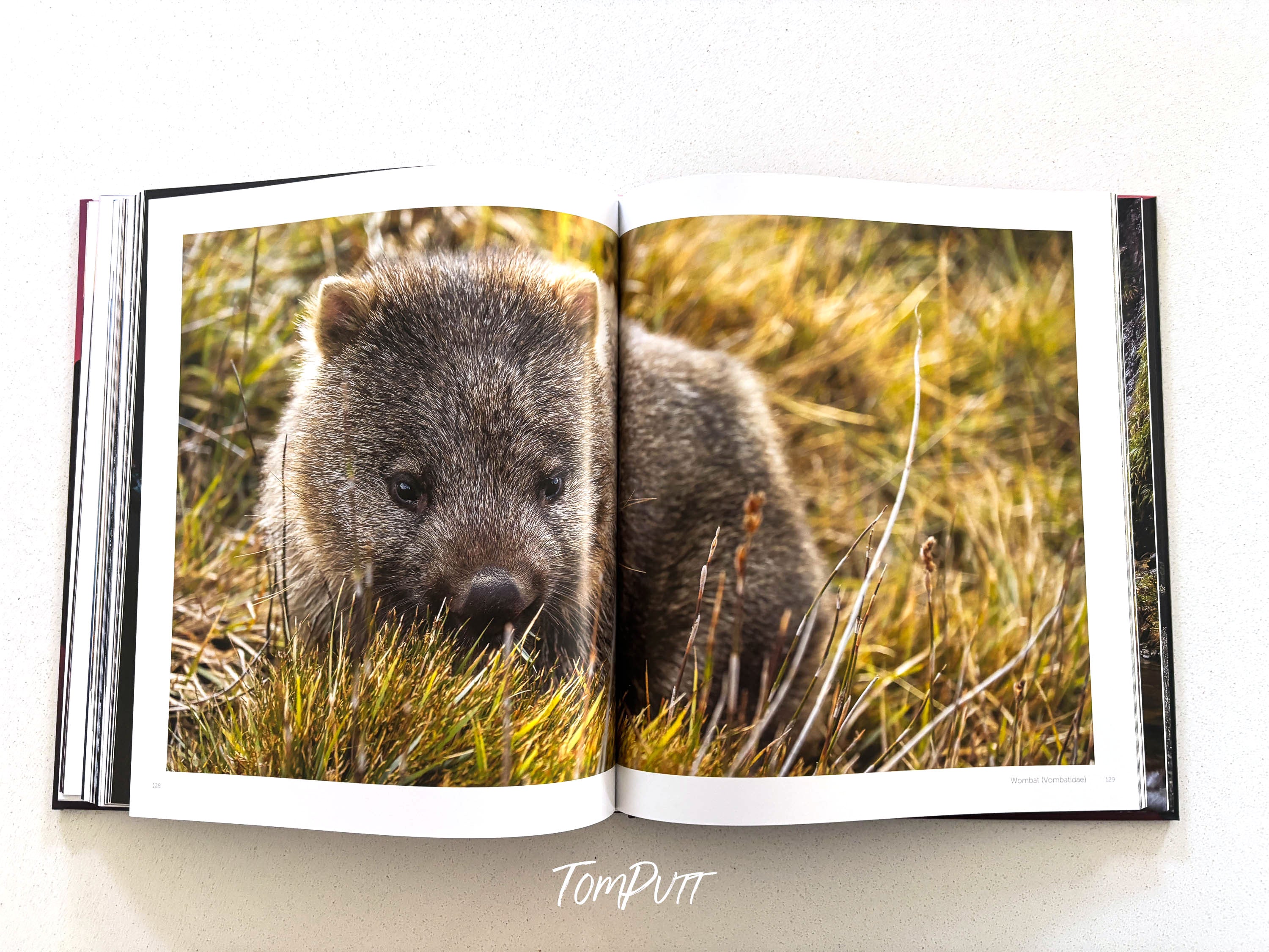 ***PRE-ORDER*** Cradle Mountain & The Overland Track