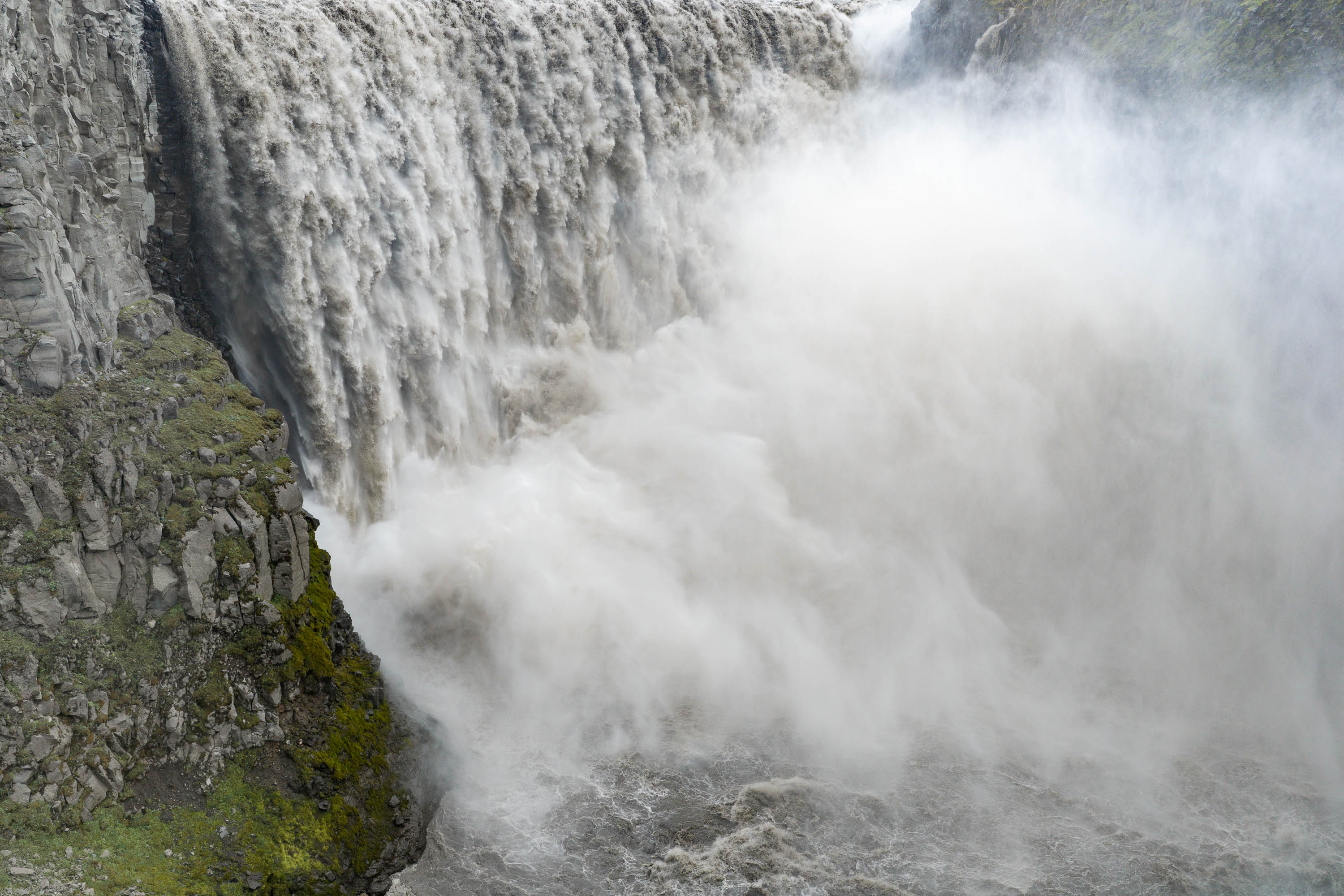 Wild Descent