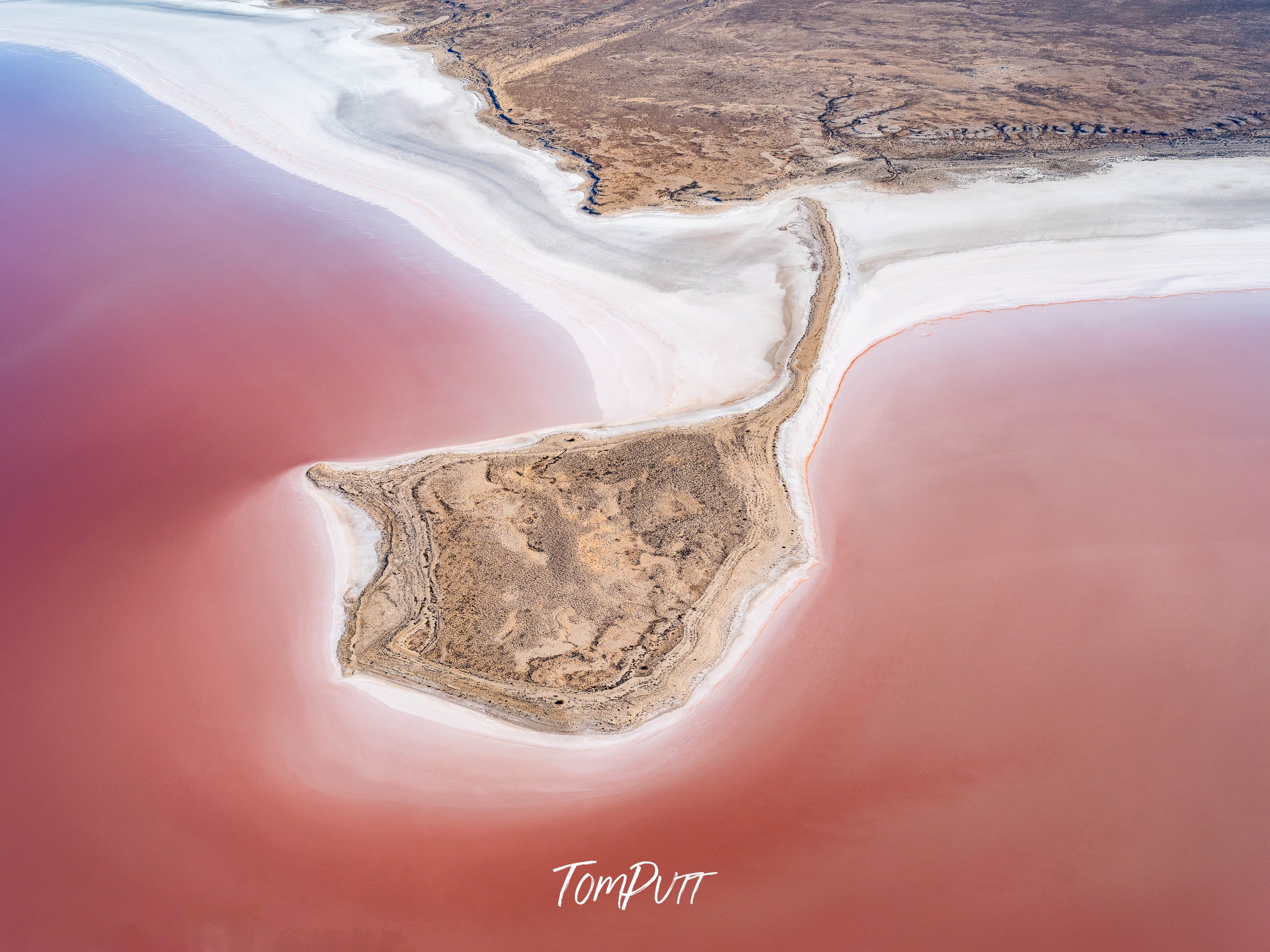 Pink Oasis: Lake Eyre