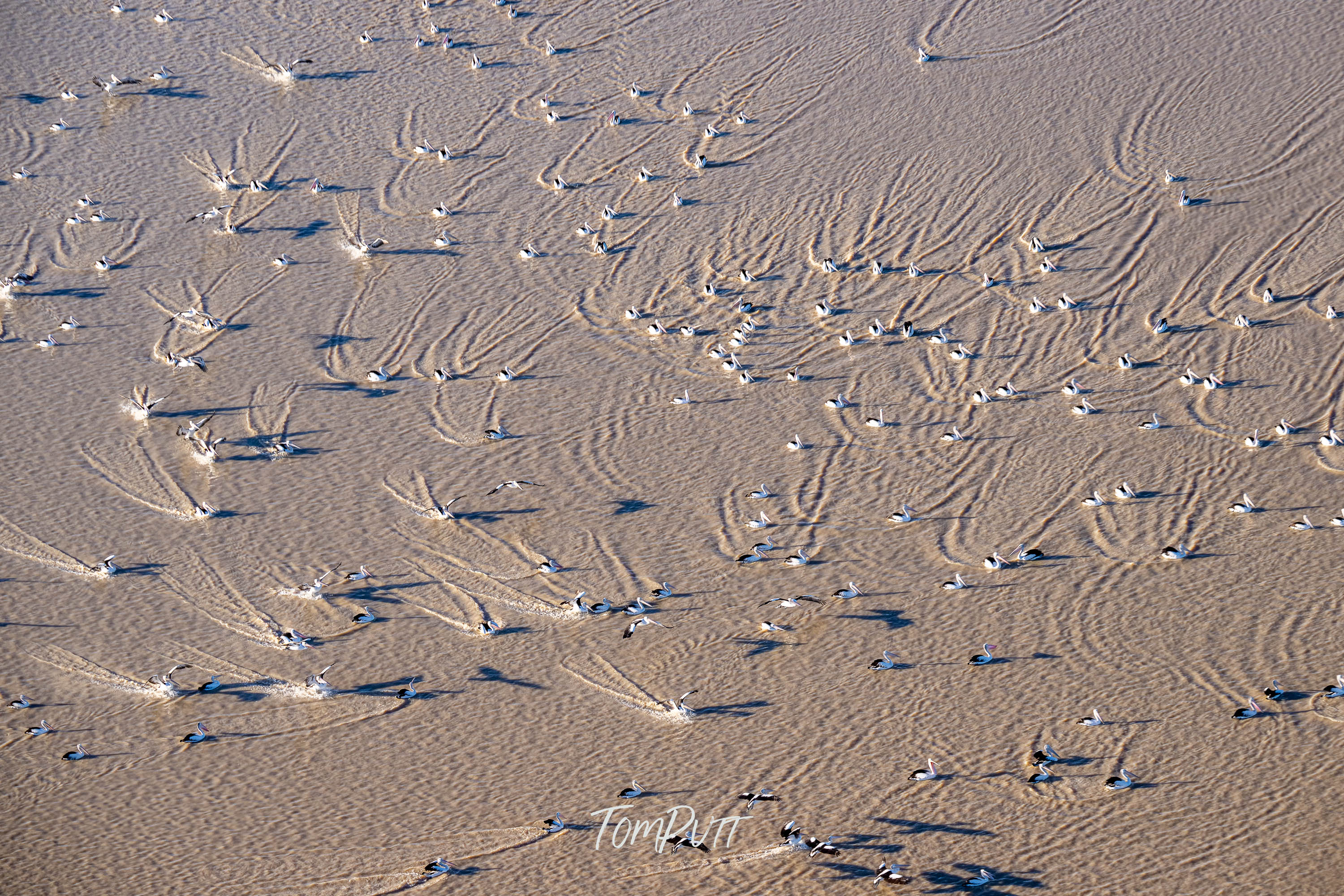 Pelican Airport, Lake Eyre, SA