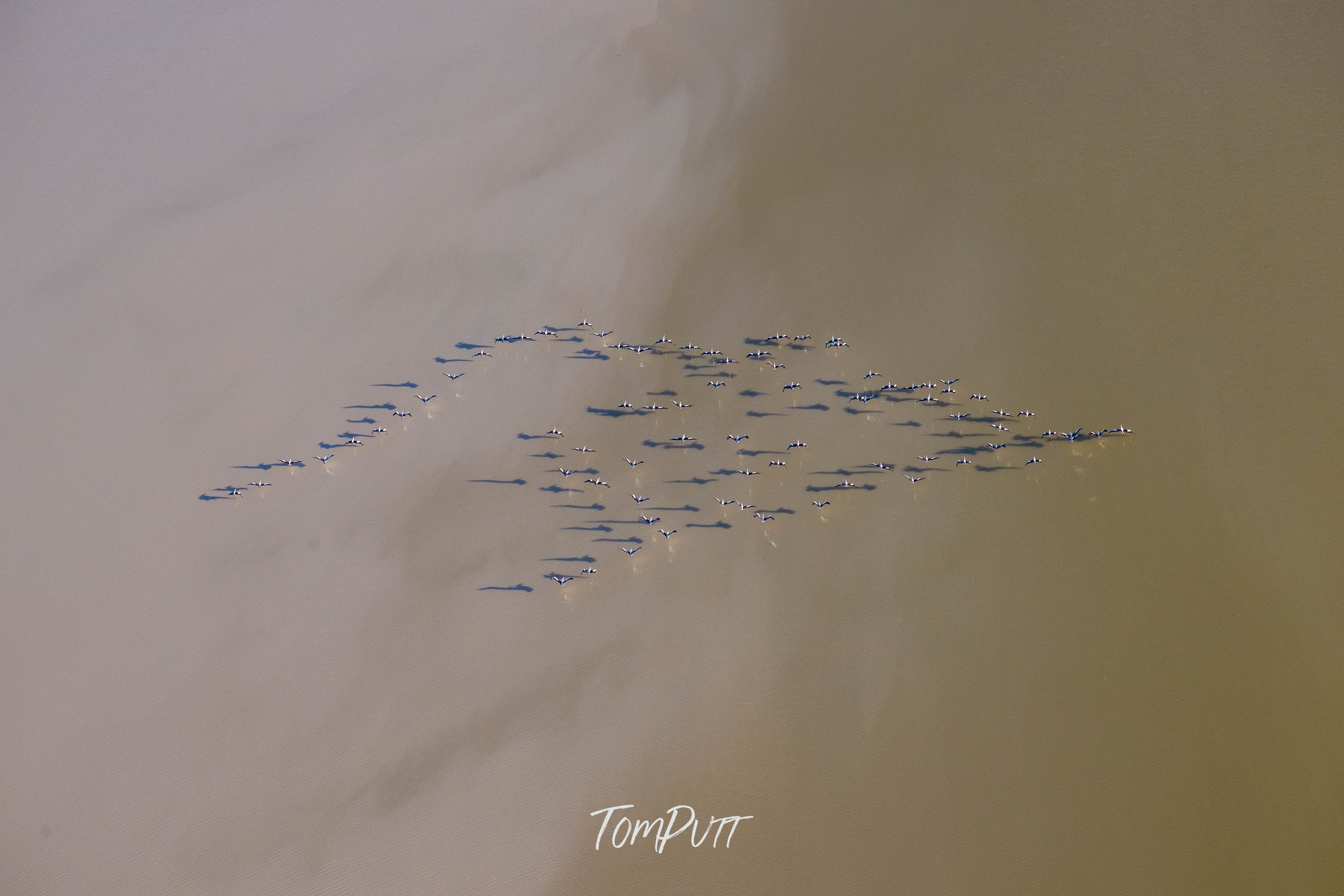 In Formation, Lake Eyre, SA