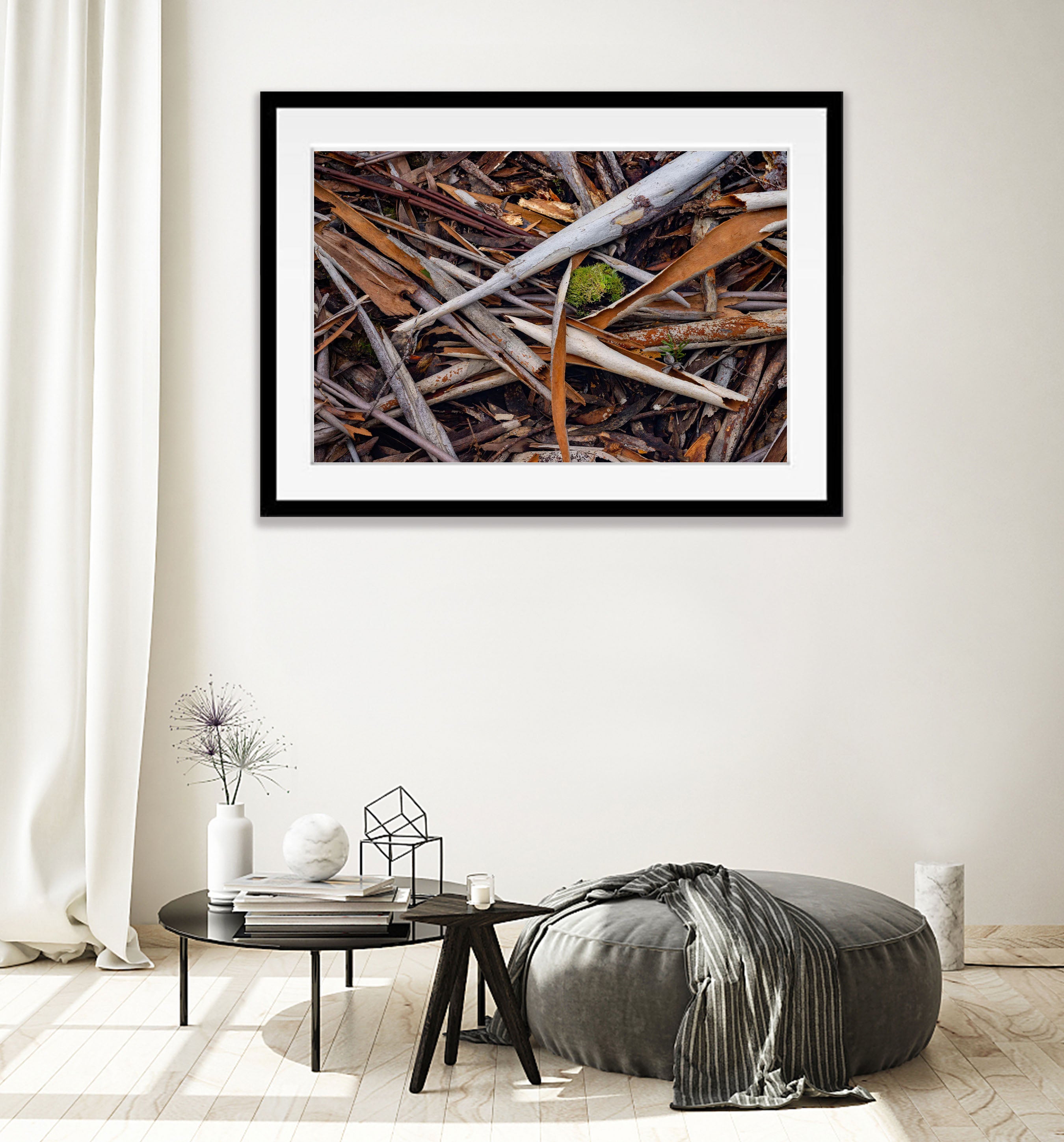 Leaf Litter detail, The Overland Track, Tasmania