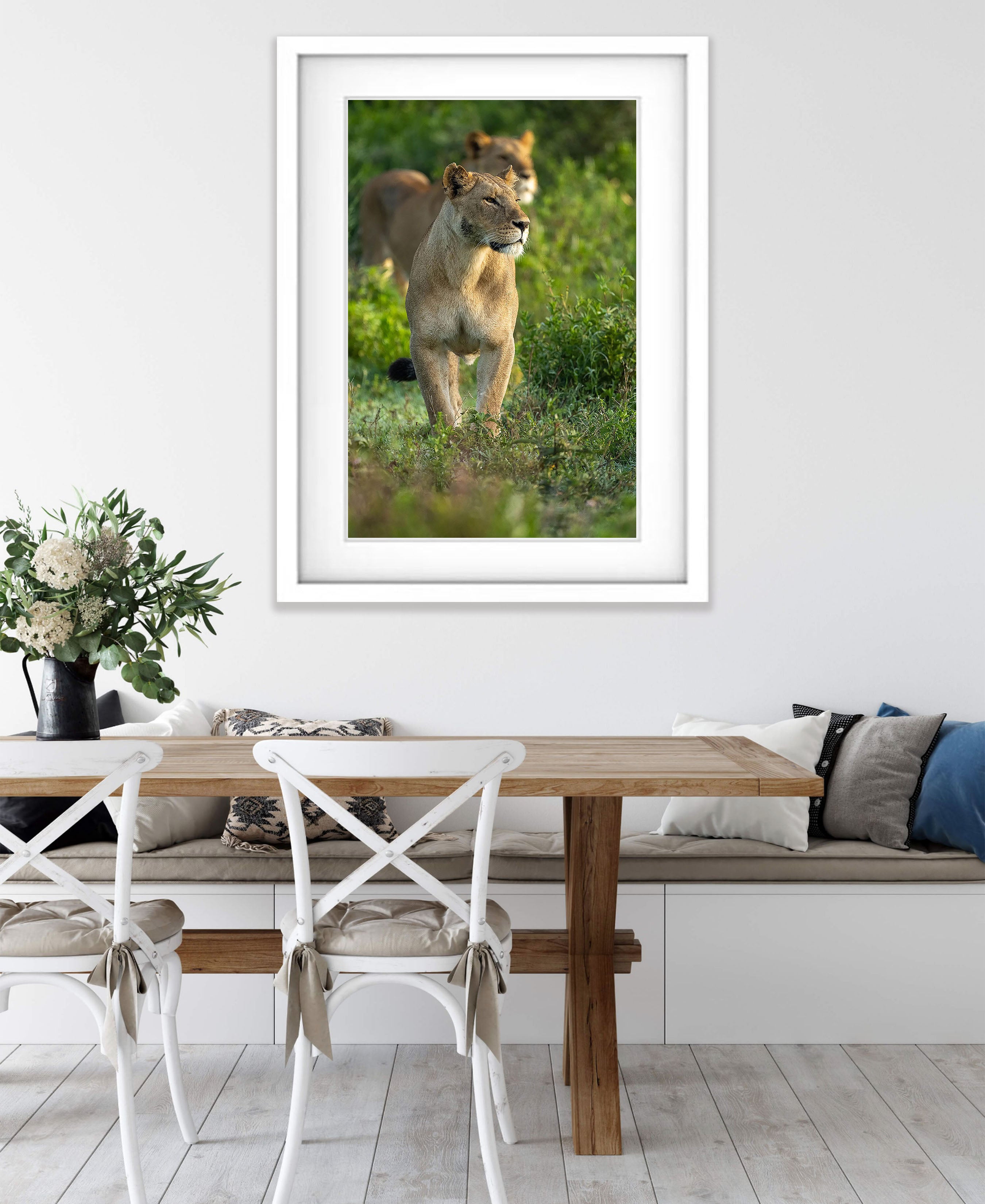 Lioness, Tanzania