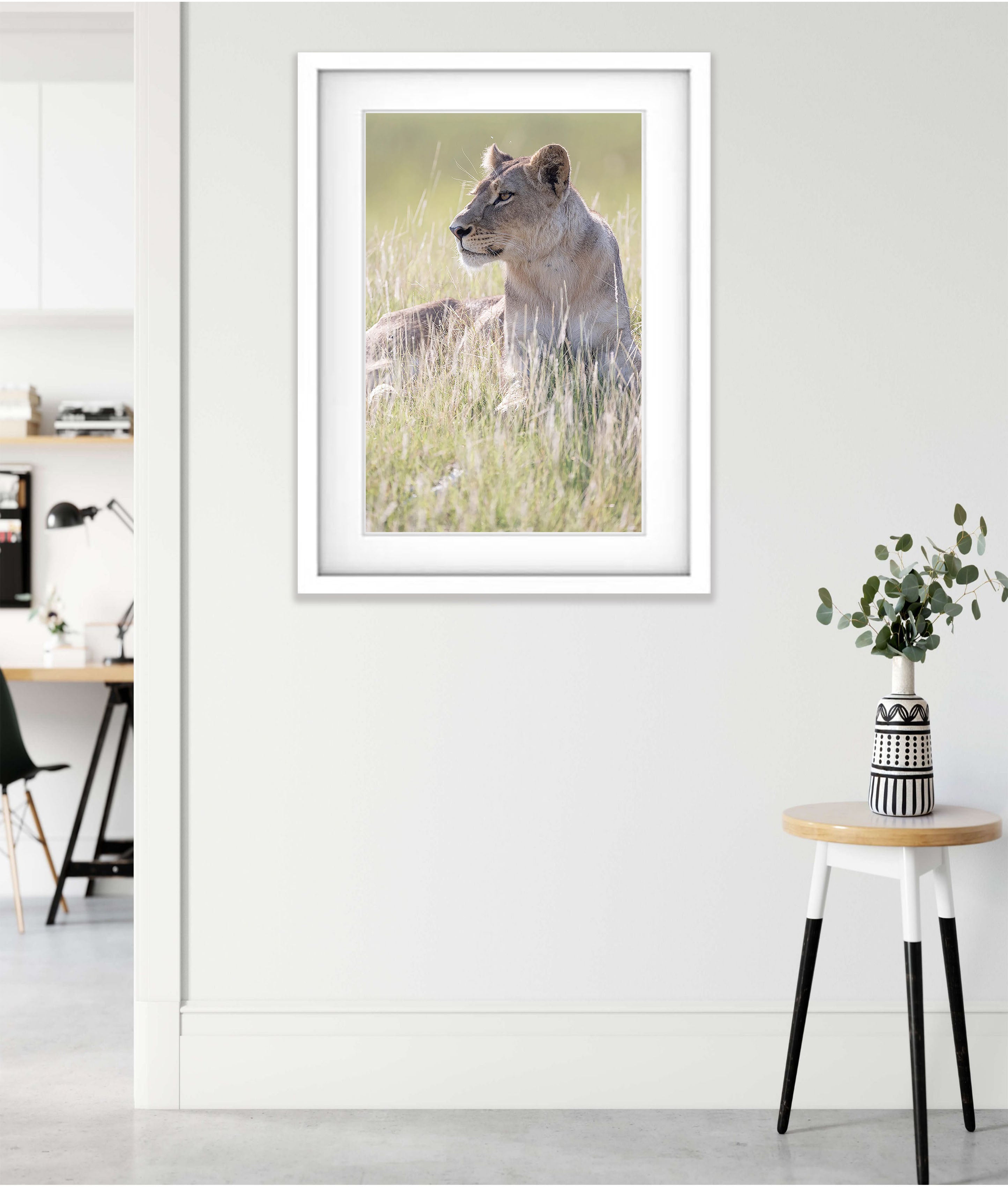 Lioness portrait, Okavango Delta, Botswana