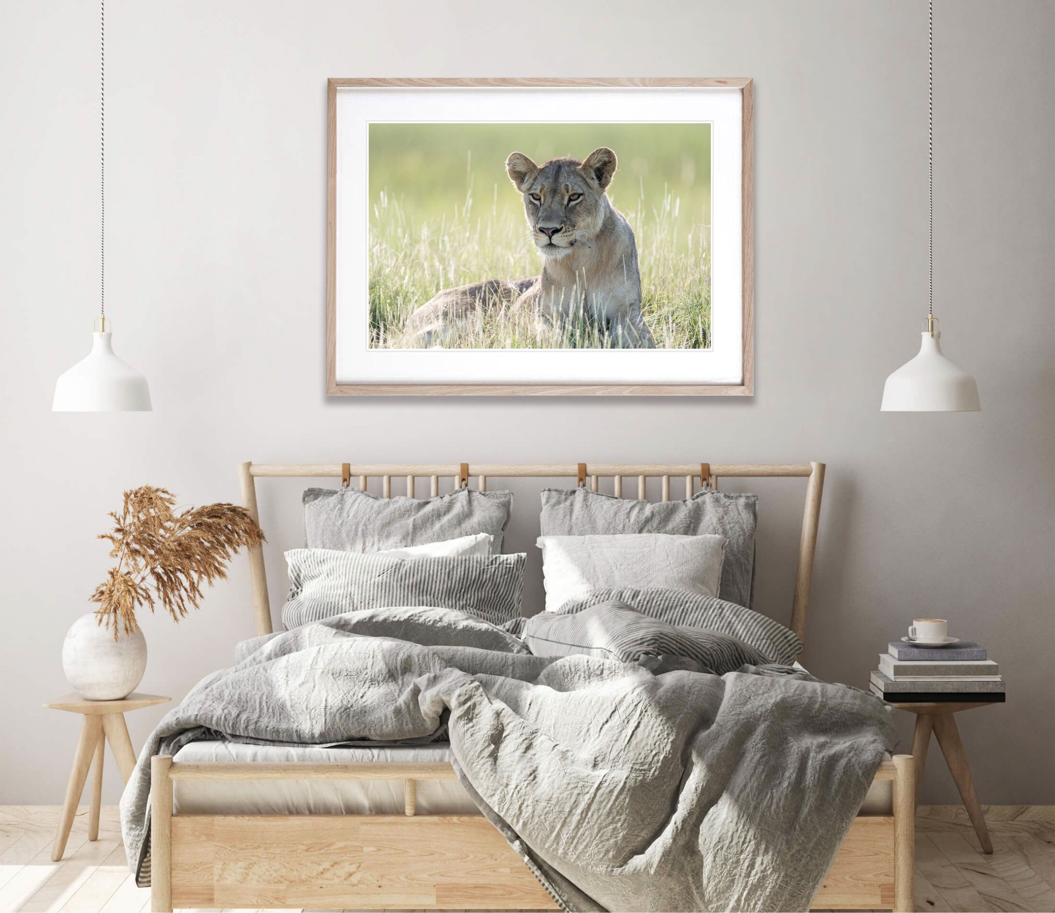Lioness relaxing, Okavango Delta, Botswana