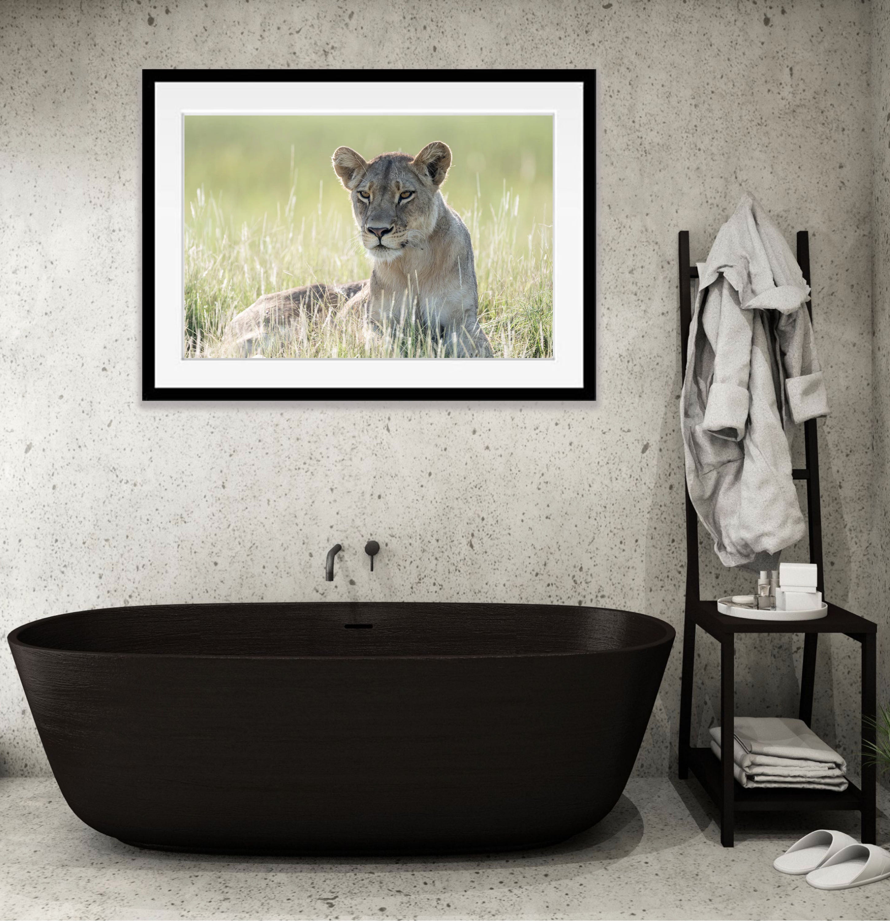 Lioness relaxing, Okavango Delta, Botswana
