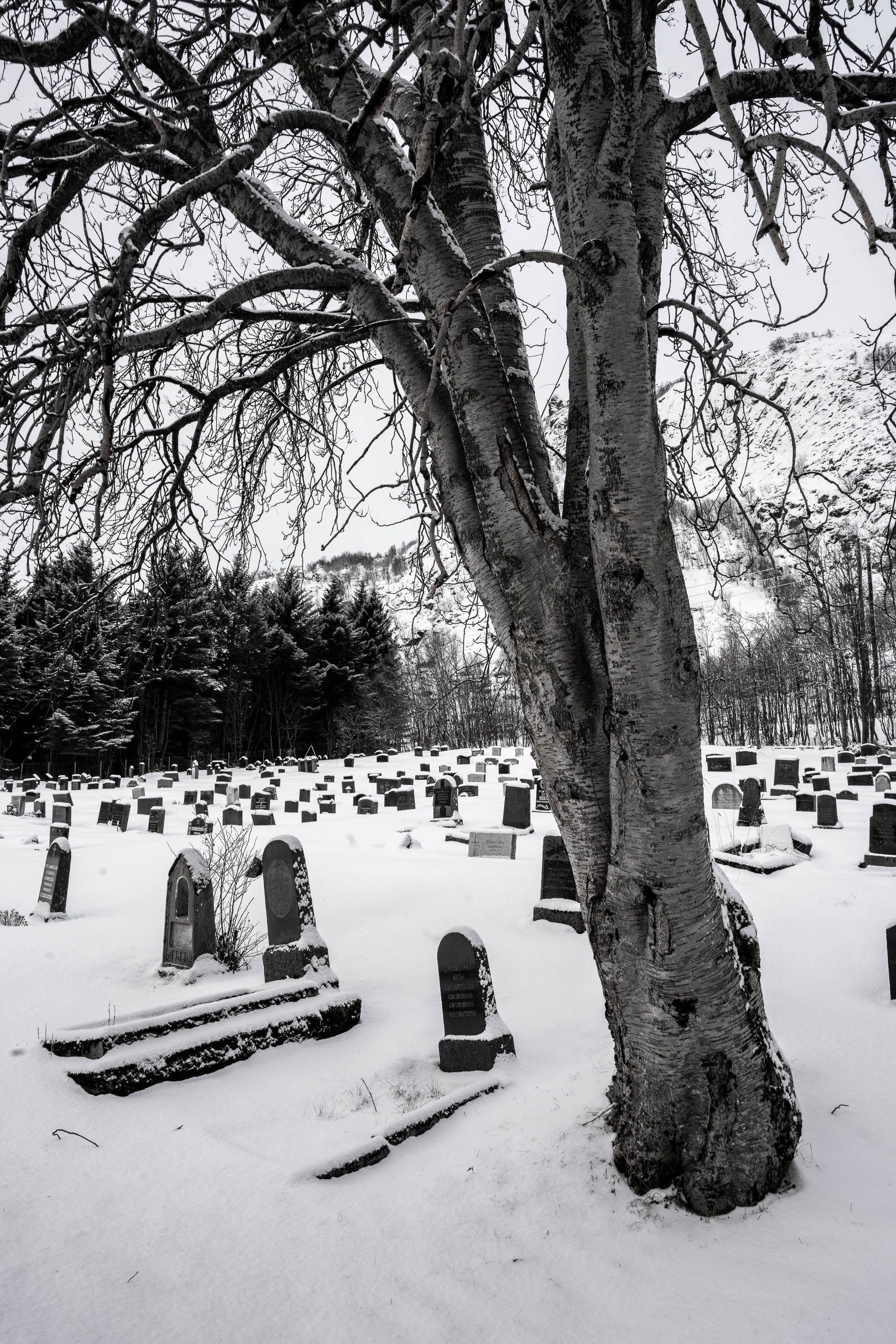 Cemetery, Lofoten, Norway