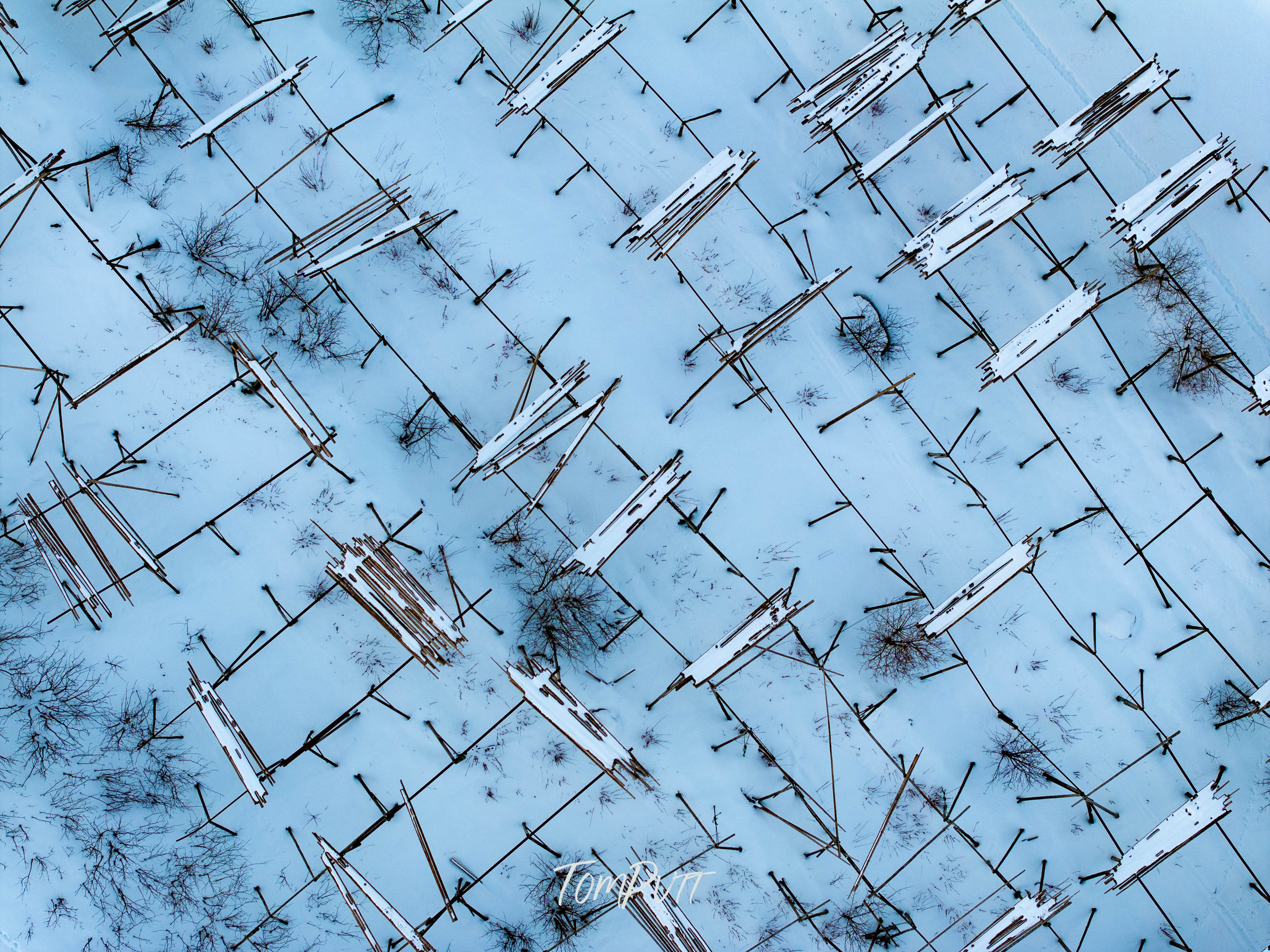 Arctic Lattice, Lofoten