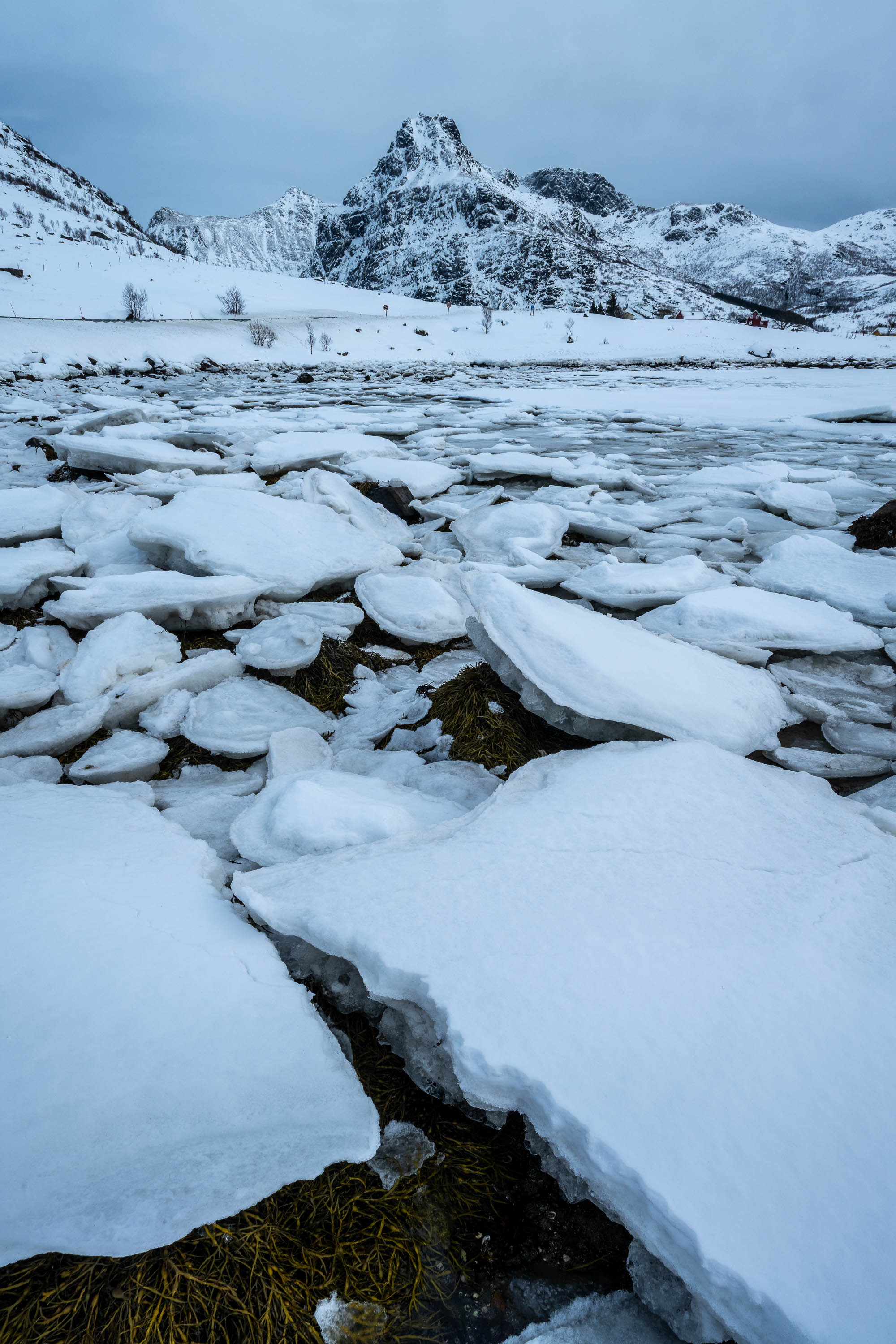 Shattered Ice Drift, Lofoten