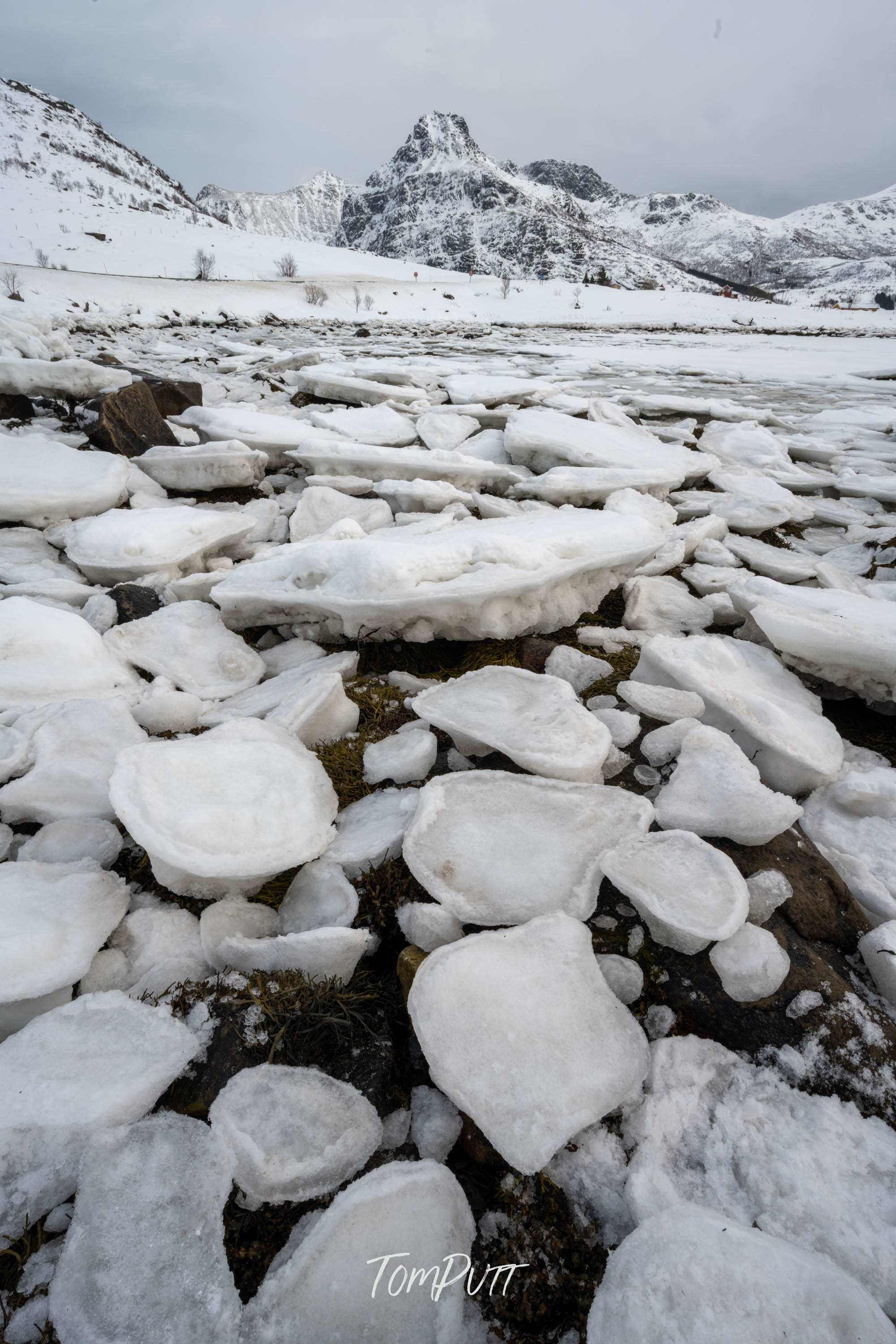 The Stepping Stones of Lofoten