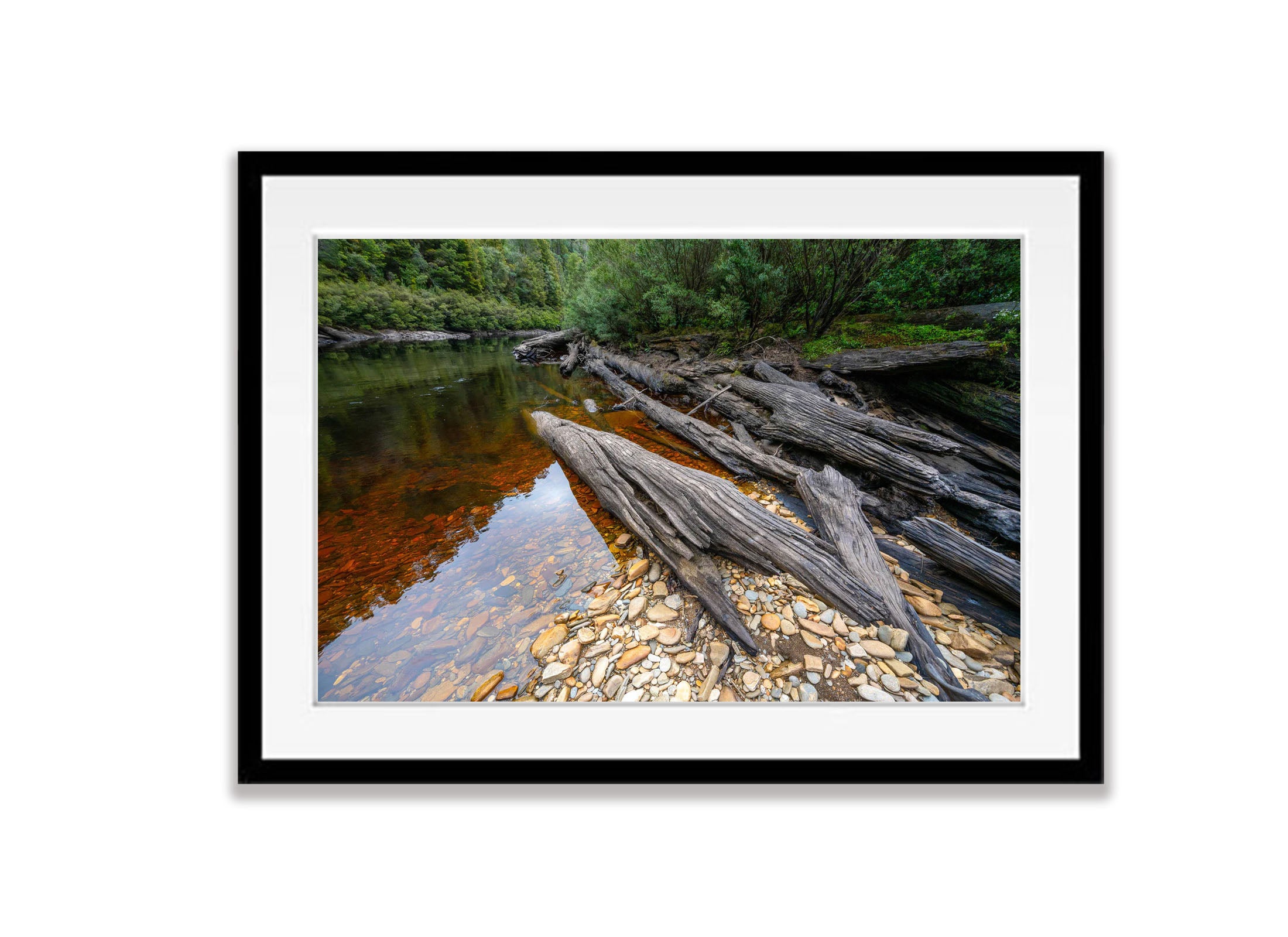 Logs on the The Franklin River No.5, Tasmania