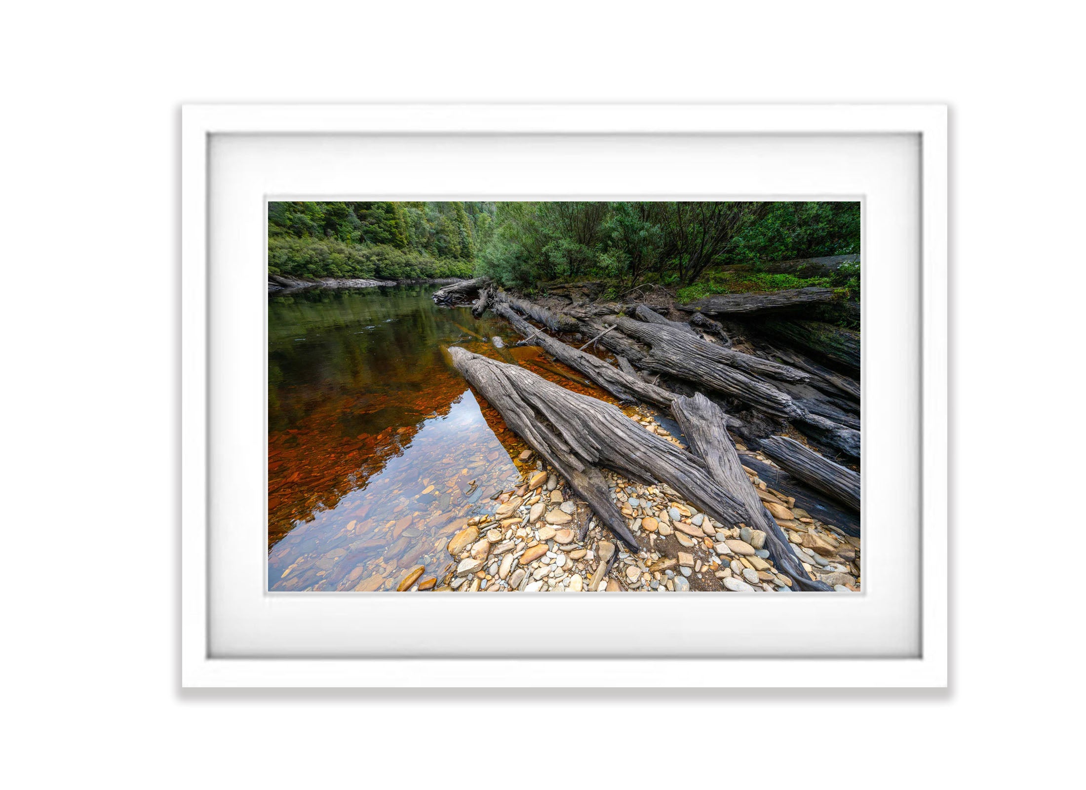 Logs on the The Franklin River No.5, Tasmania