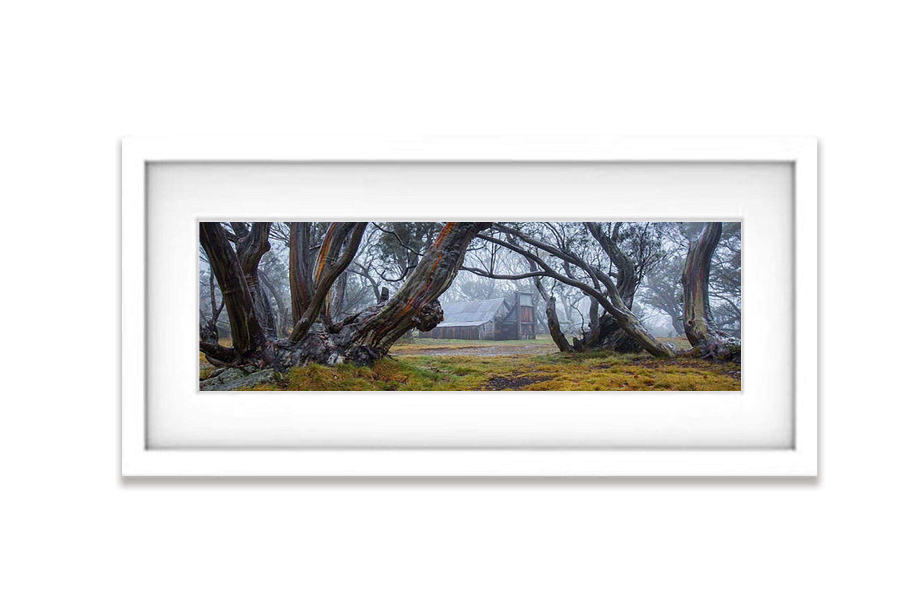 Mystic Echos (Wallace's Hut) - Victorian High Country