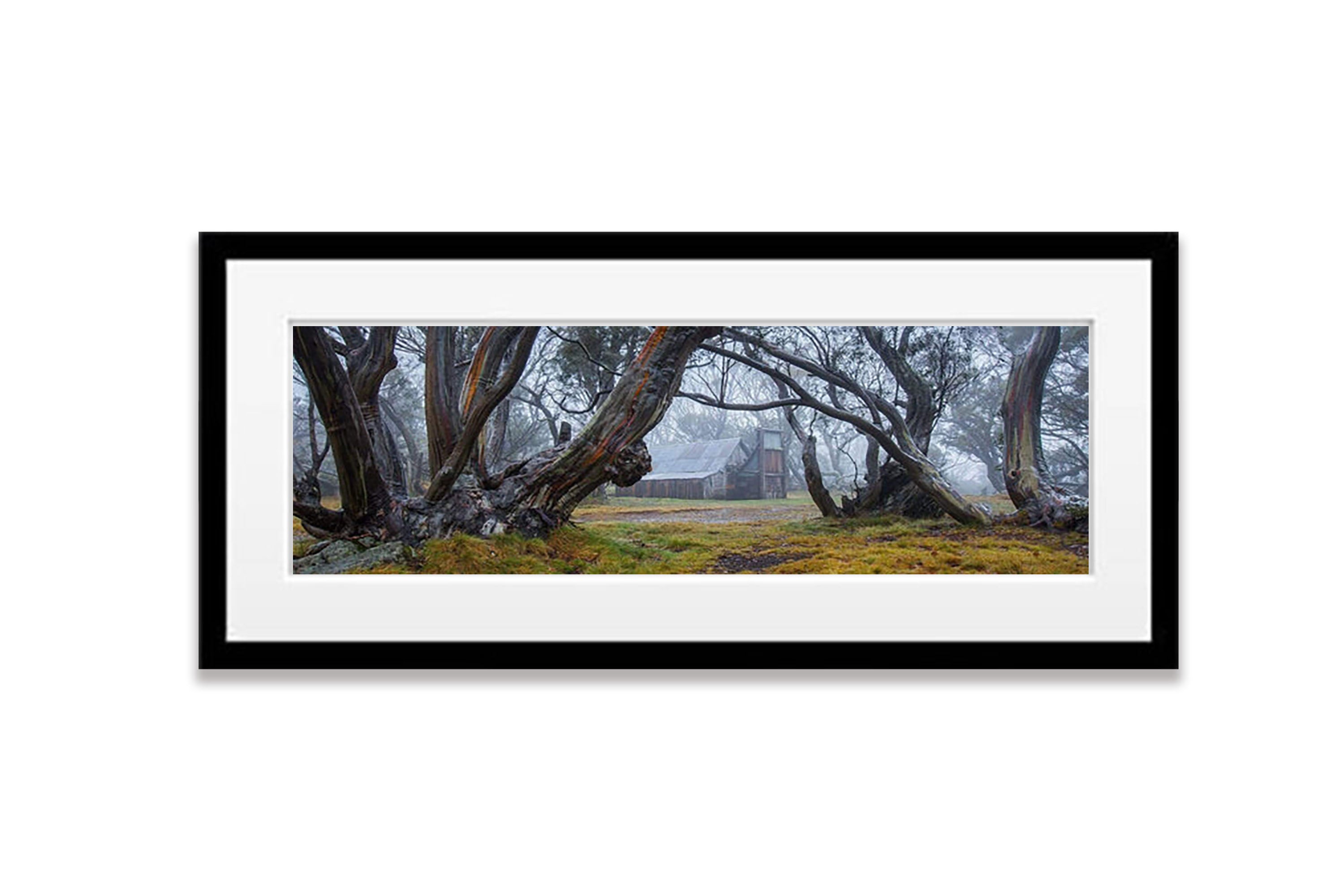 Mystic Echos (Wallace's Hut) - Victorian High Country