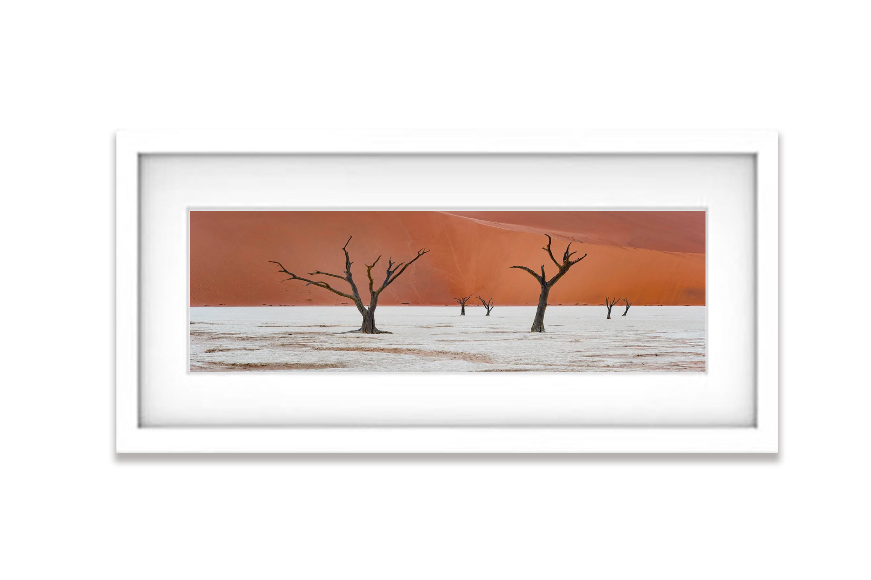 Deadvlei trees, Namibia, Africa