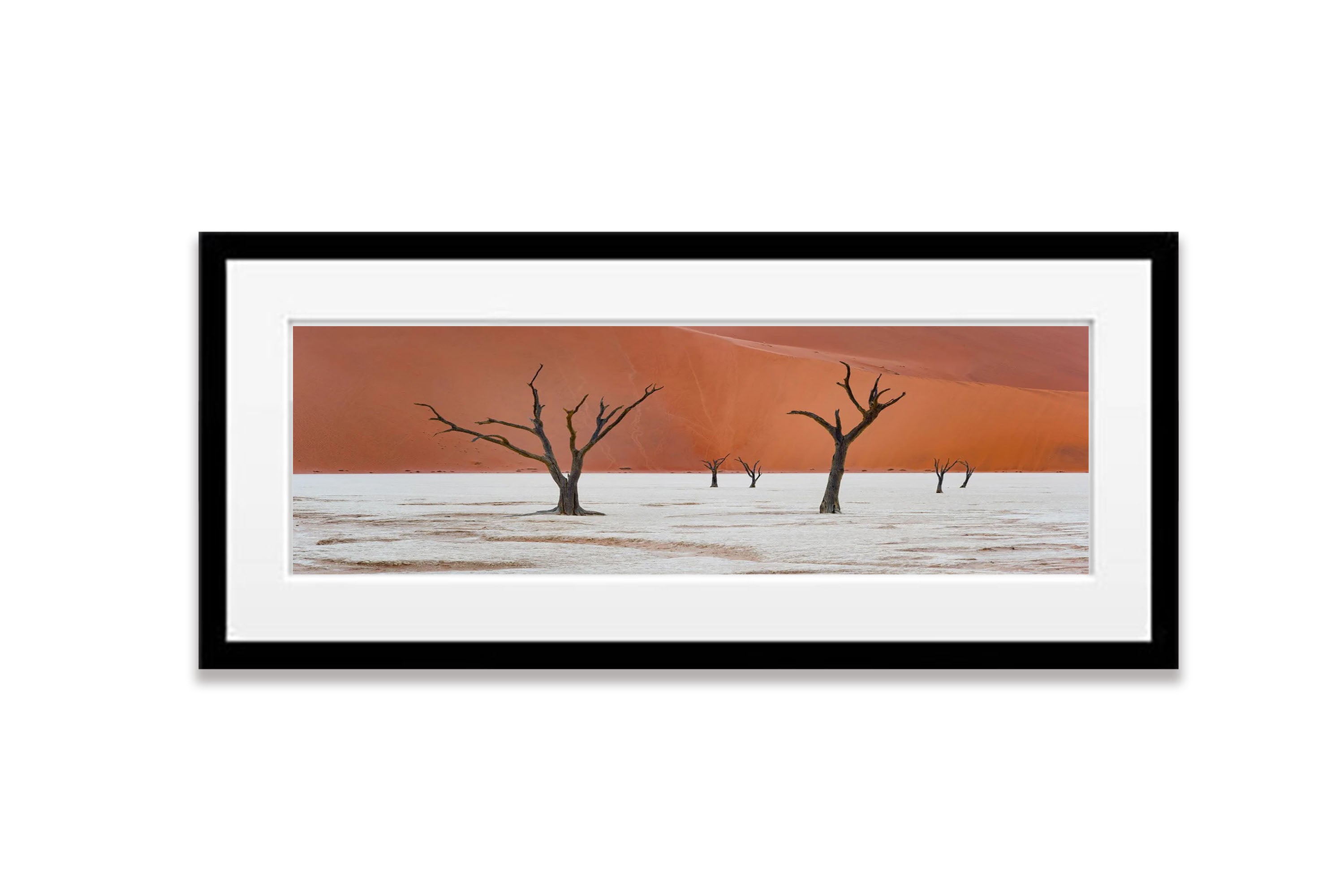 Deadvlei trees, Namibia, Africa
