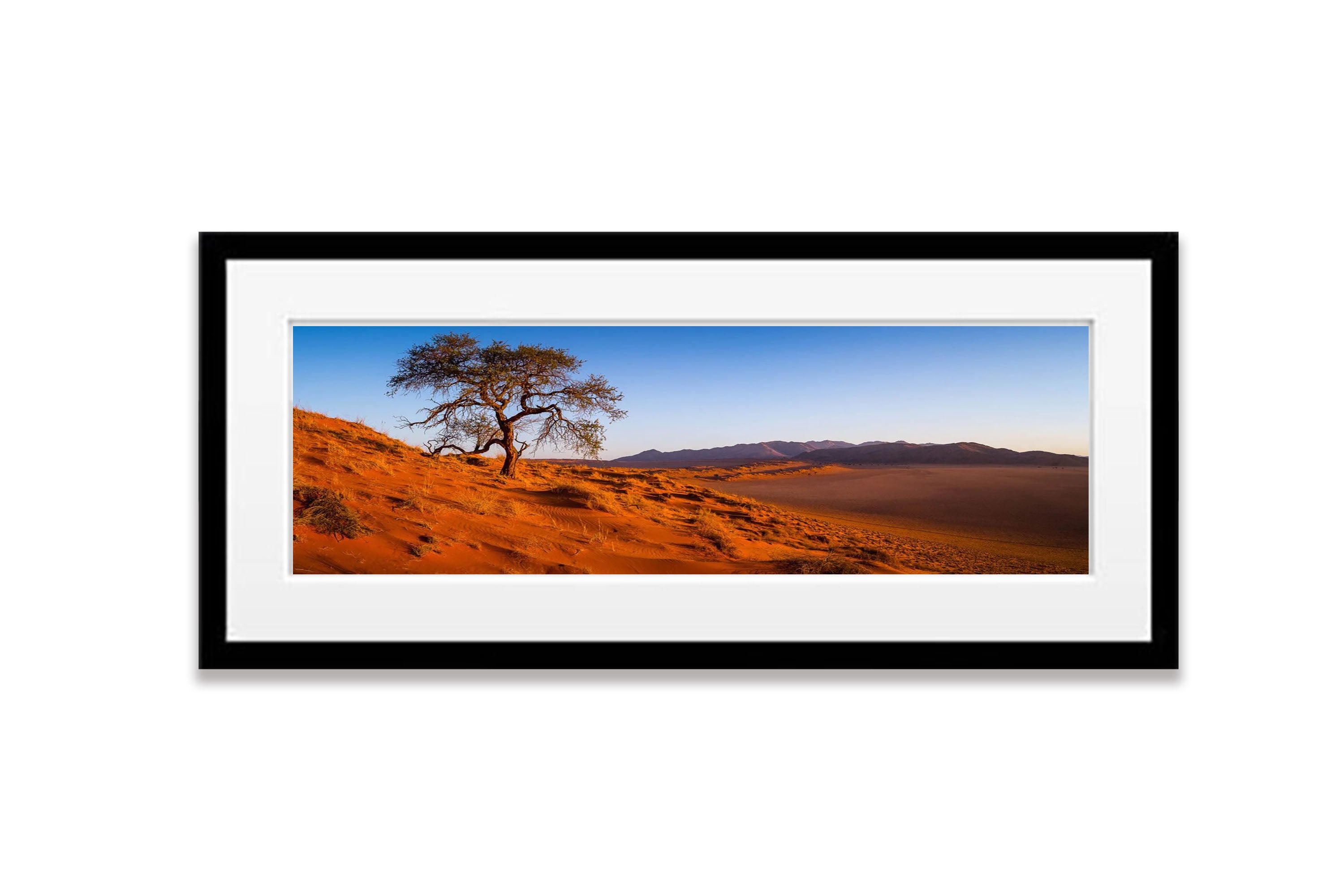 Desert Resilience, Namibia, Africa